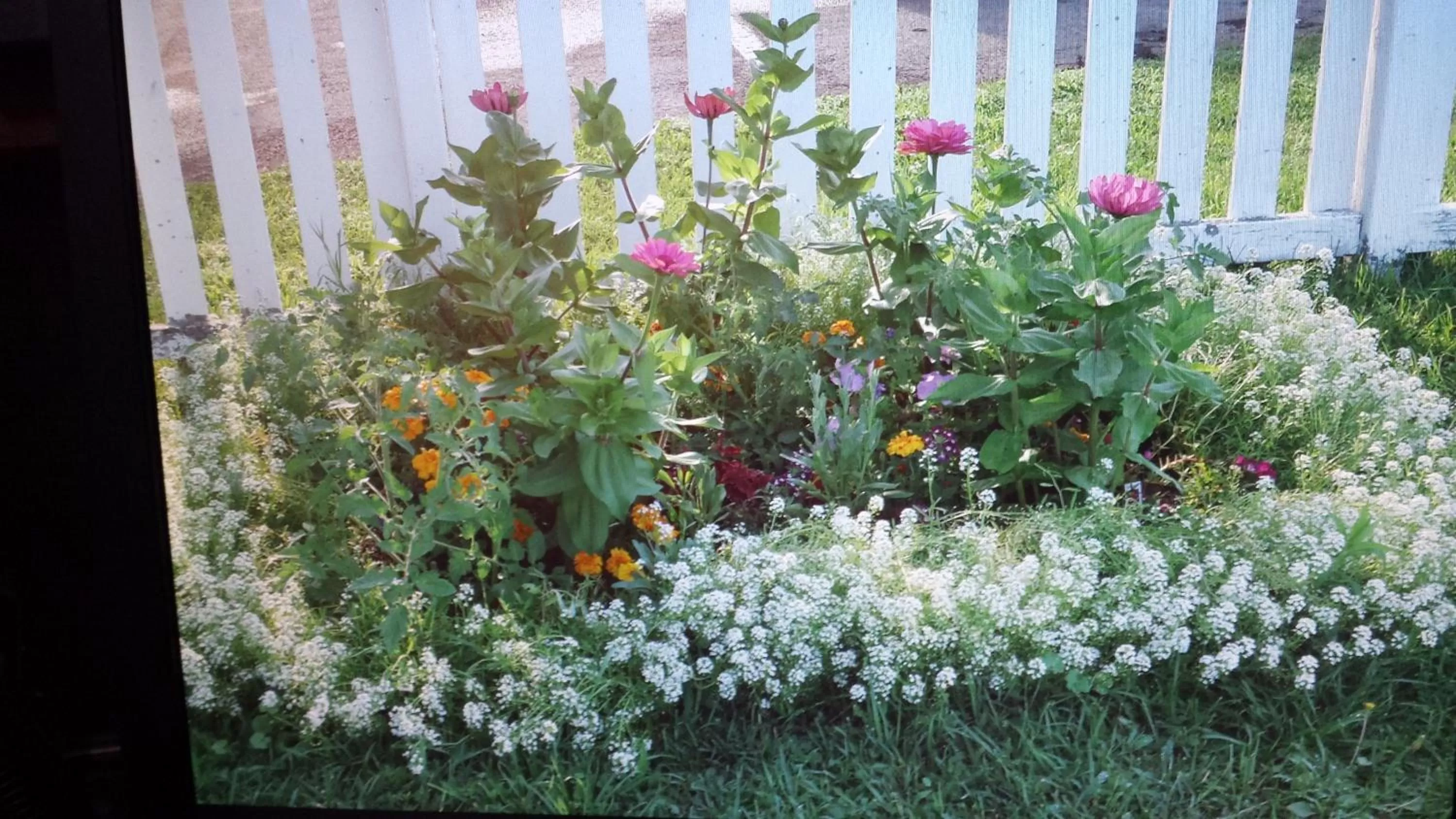 Star Inn by Elevate Rooms