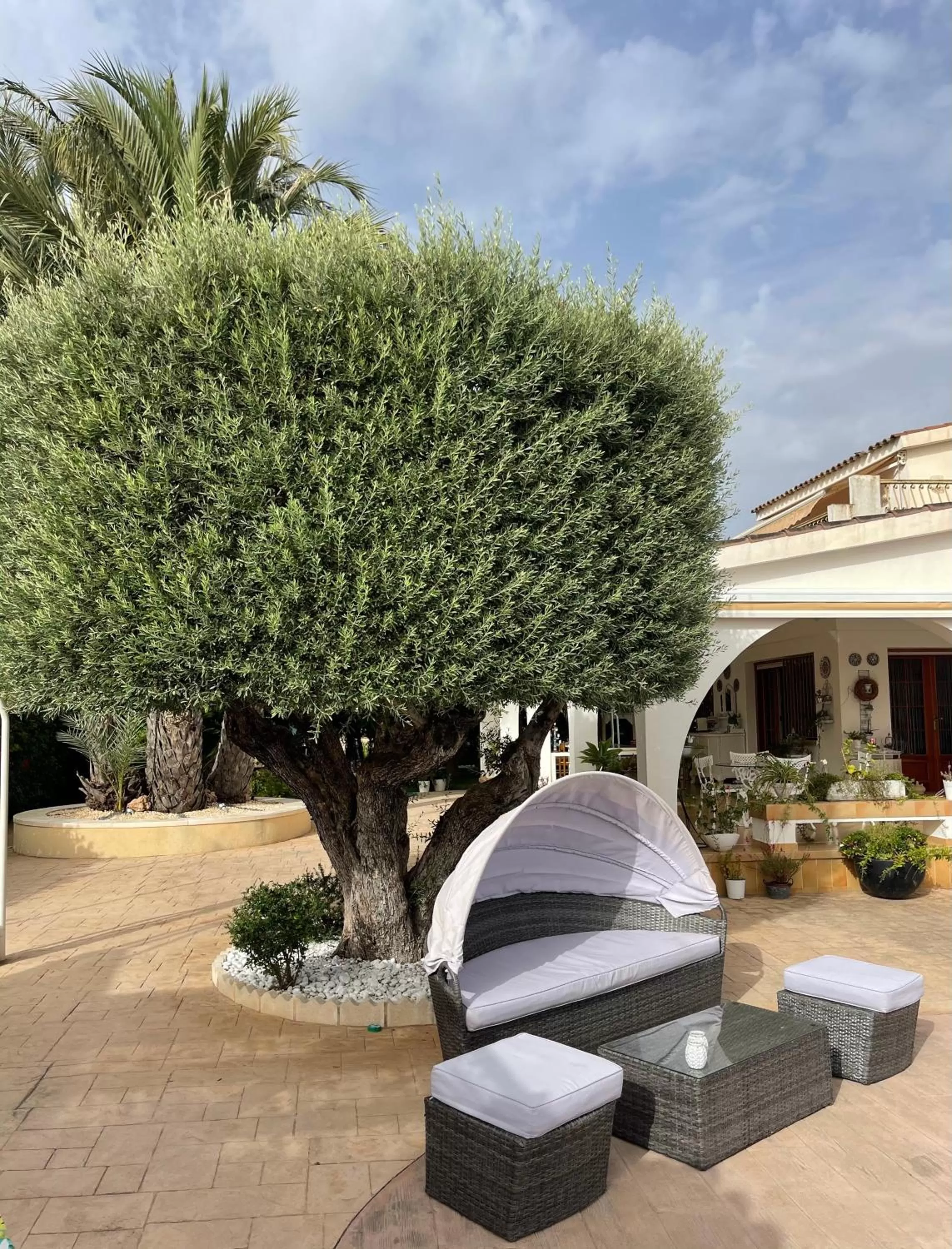 Patio, Garden in Casa Veronica