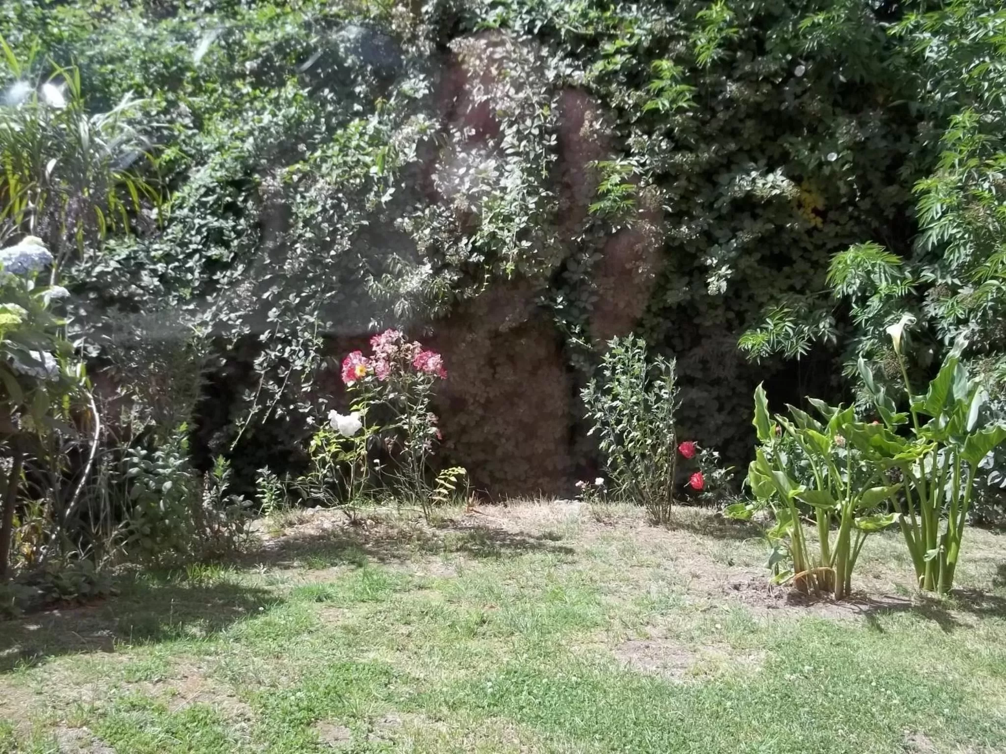 Garden in Omi Kika B&B