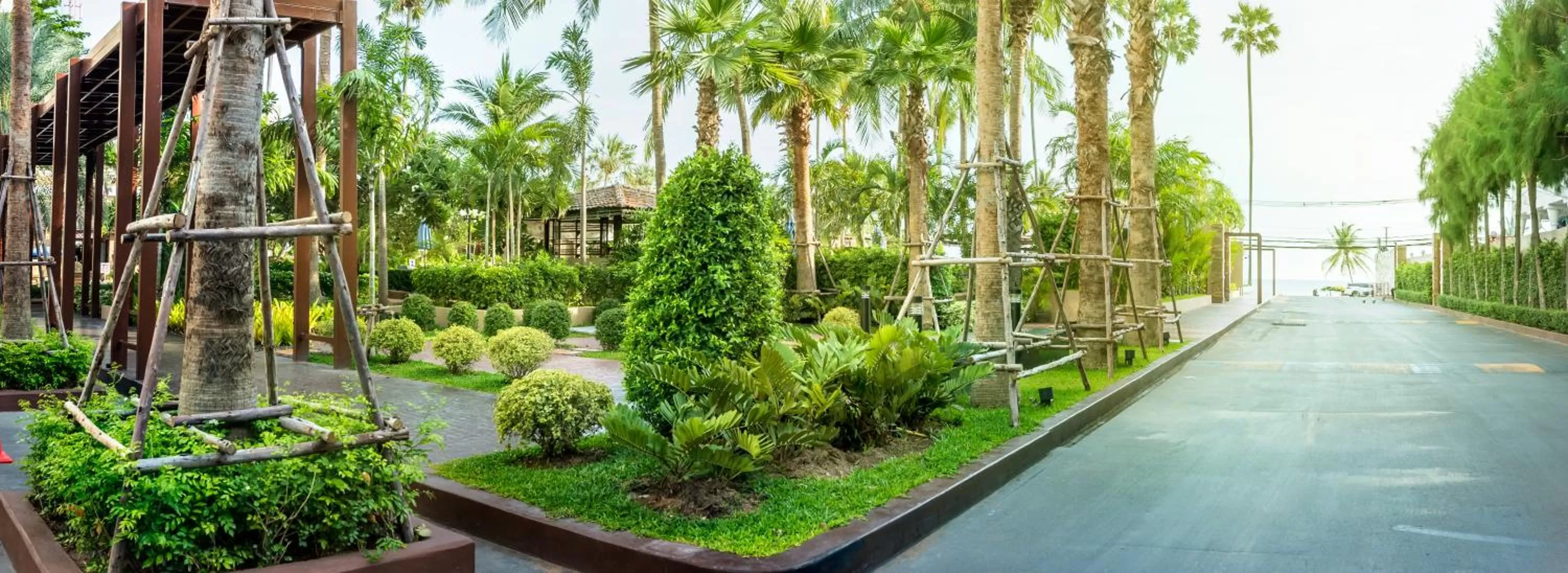Garden in Jomtien Palm Beach Hotel and Resort