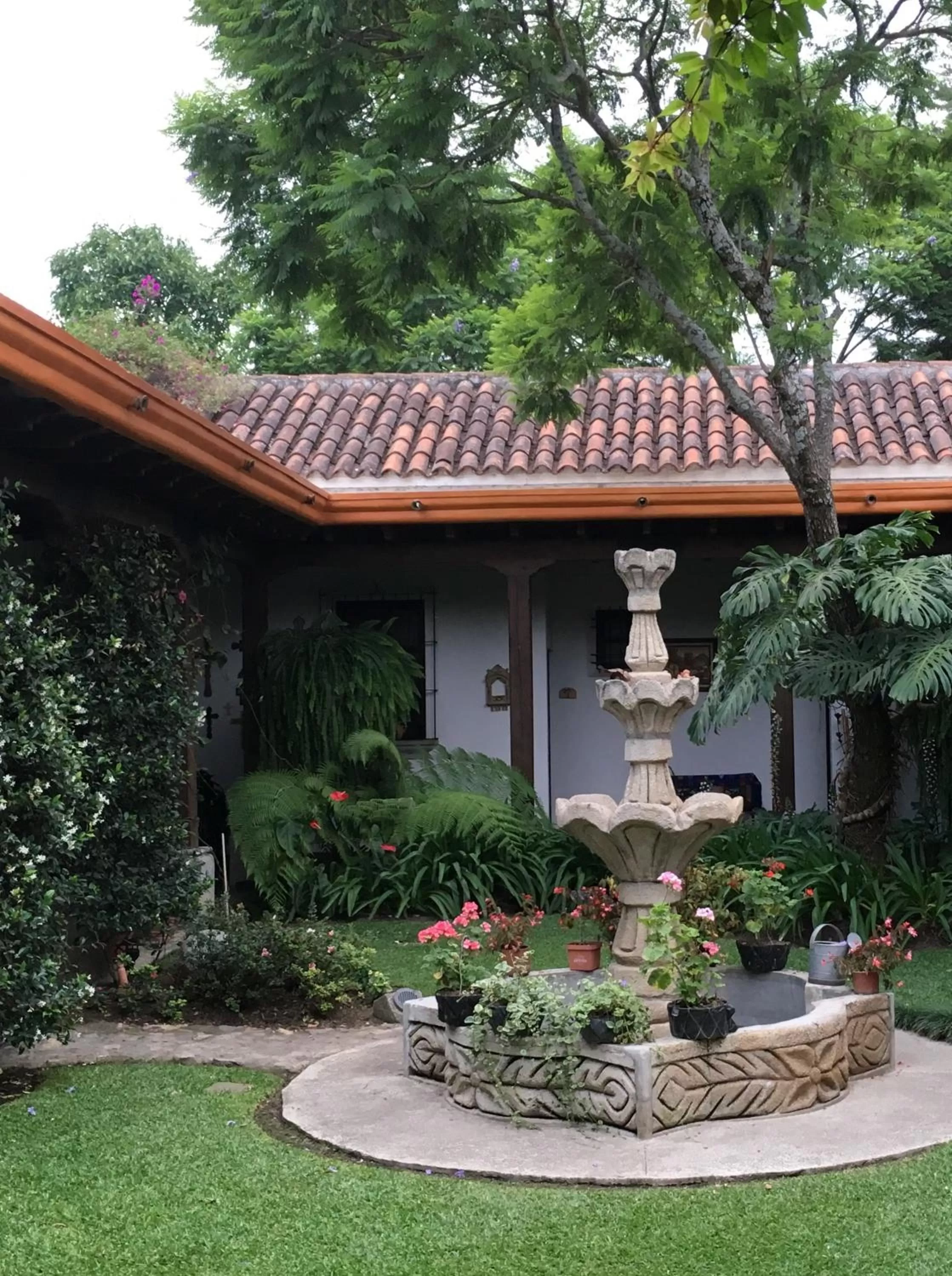 Garden in Hotel Las Marias