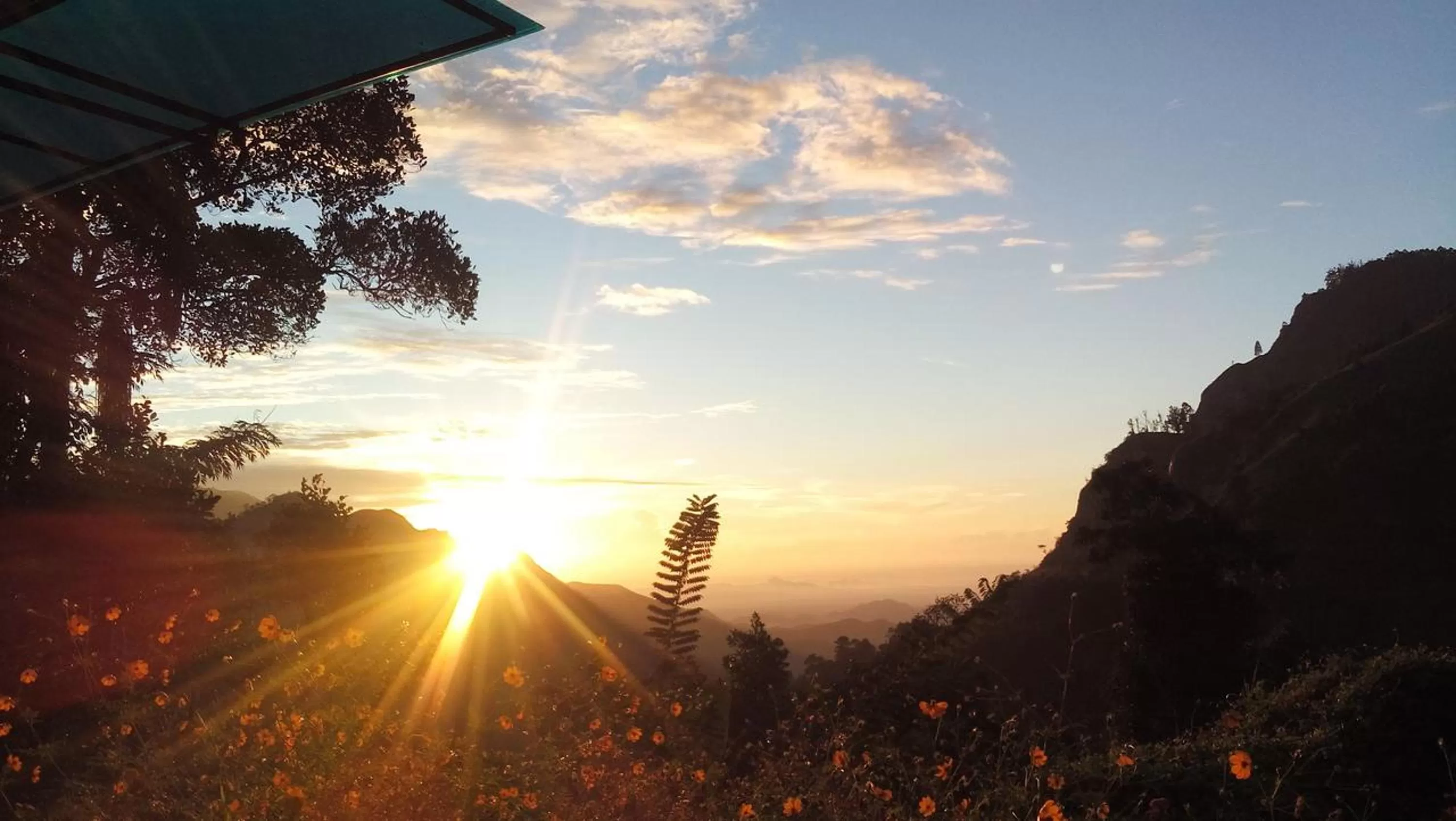 Garden, Sunrise/Sunset in Blue Ribbon Homestay