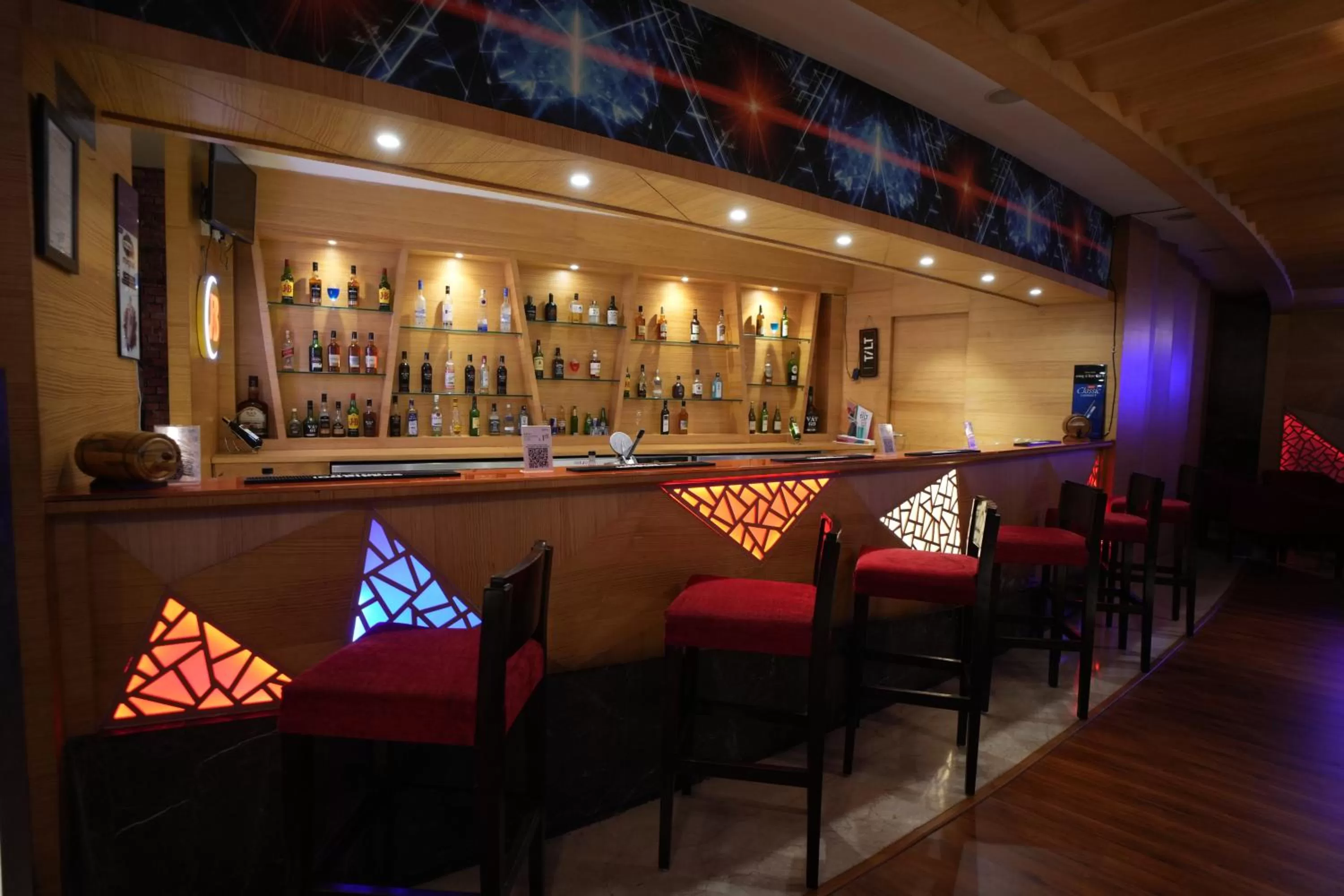 Lounge or bar in Radisson Udaipur
