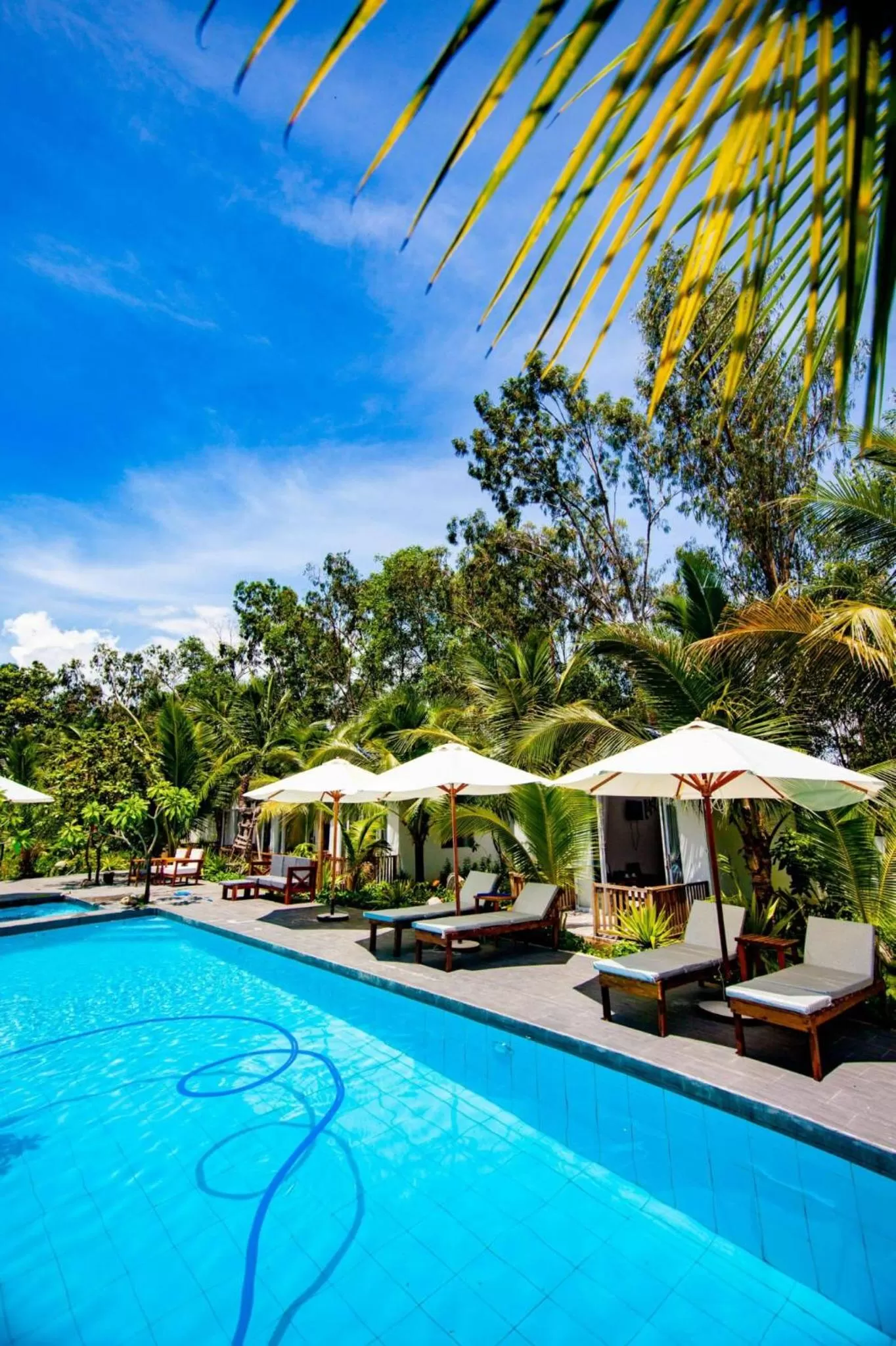 Spring in Hoang Phuc resort