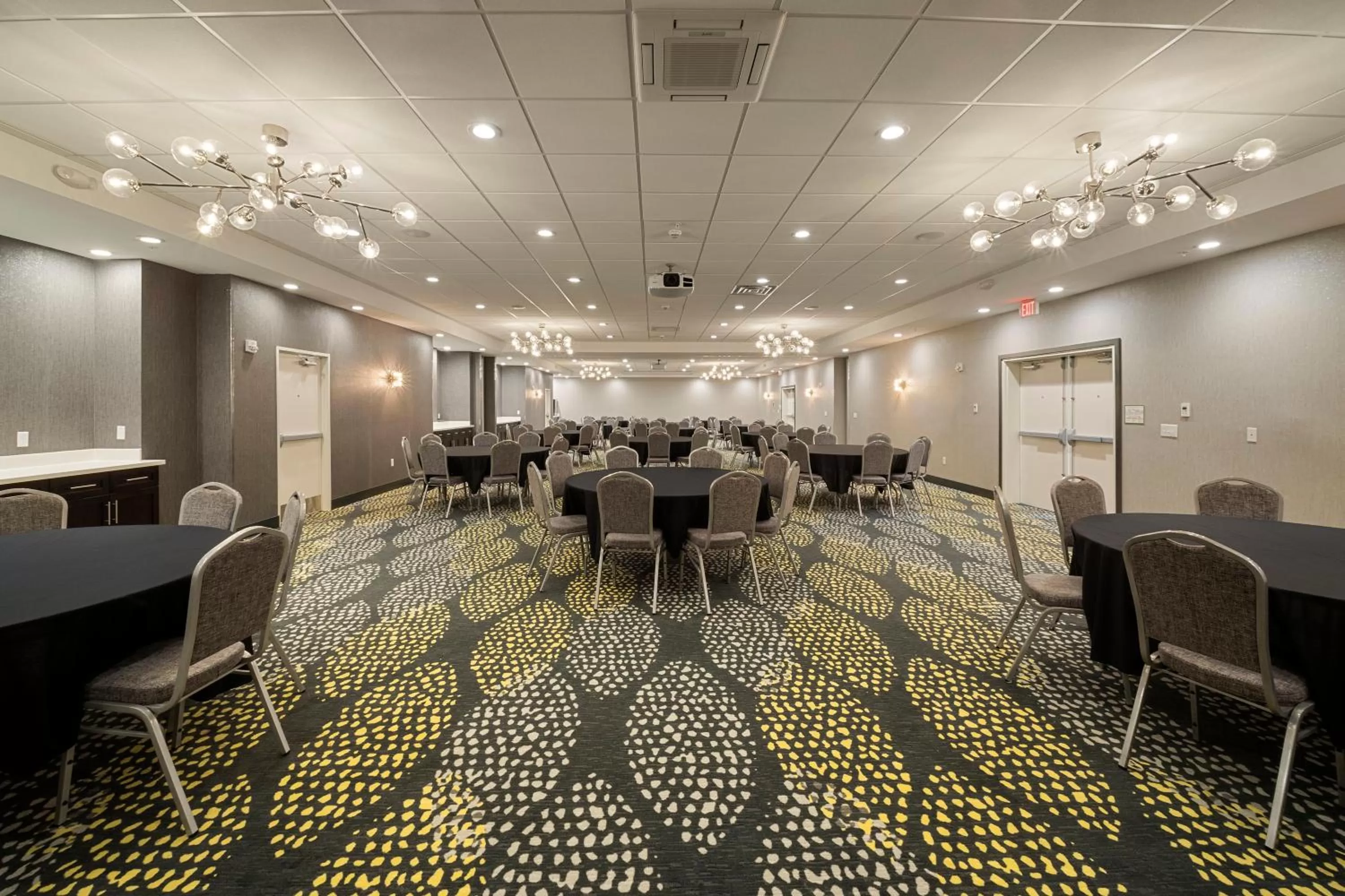 Meeting/conference room in Holiday Inn & Suites Decatur-Forsyth by IHG