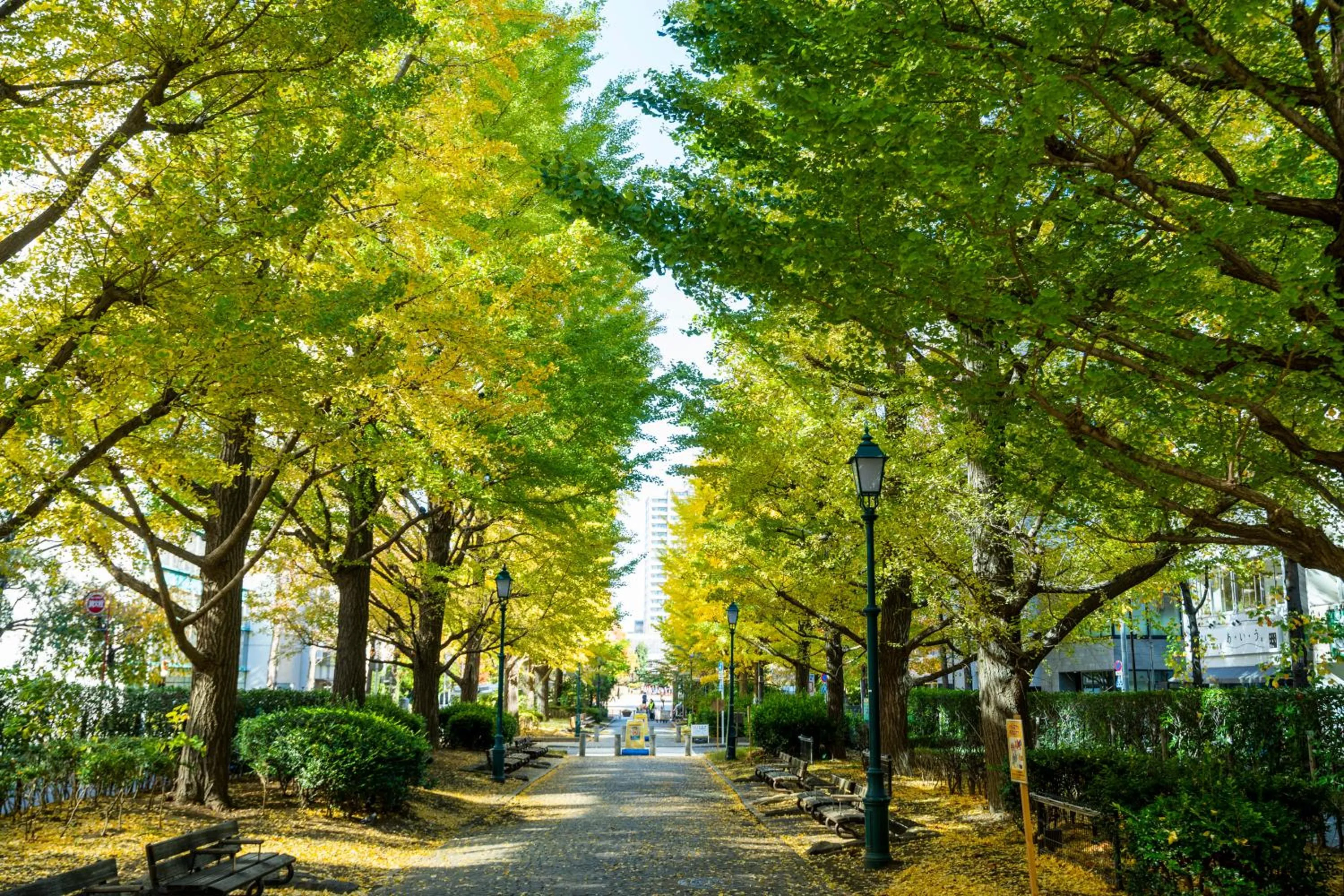 Off site in KOKO HOTEL Premier Nihonbashi Hamacho