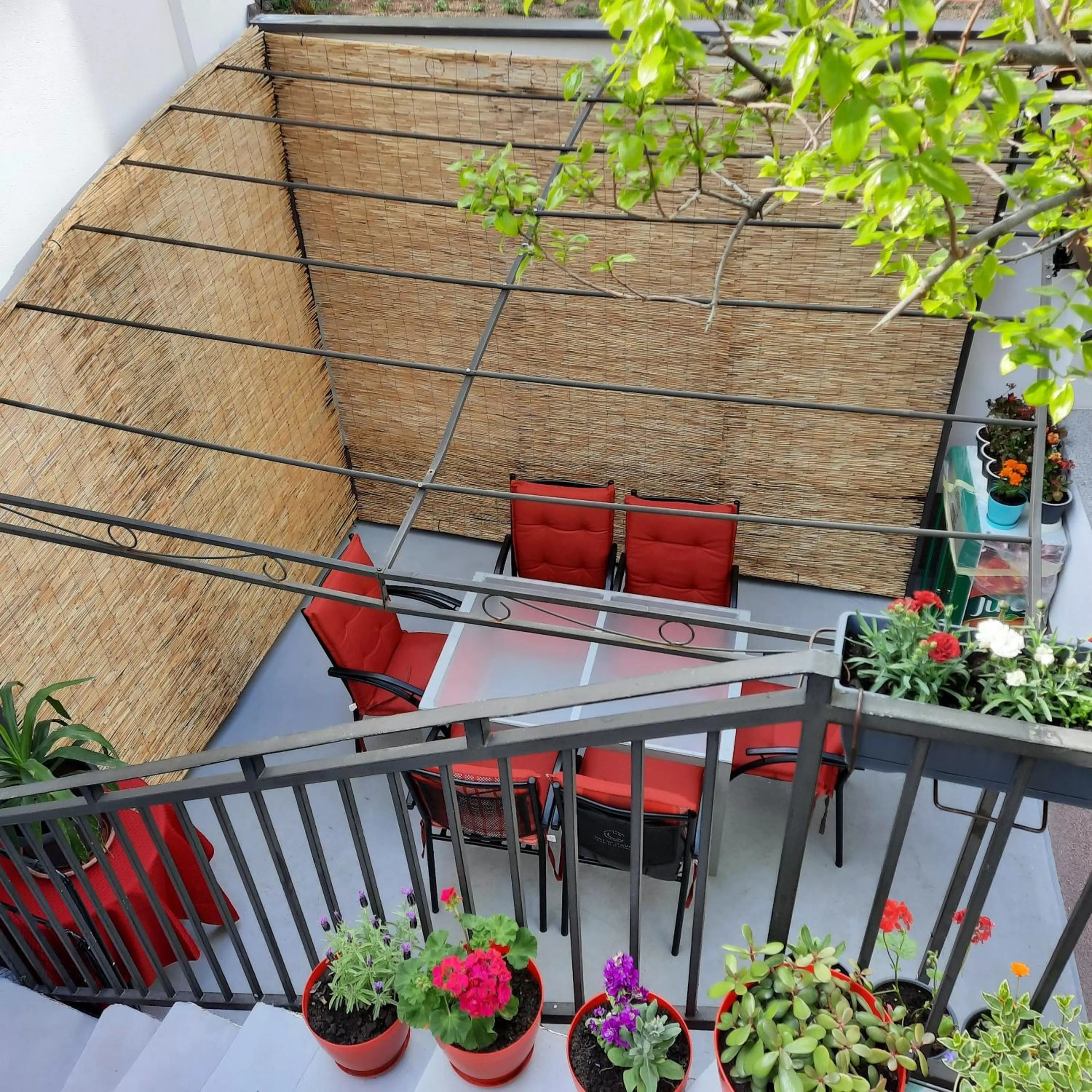 Inner courtyard view in Guest House Nana