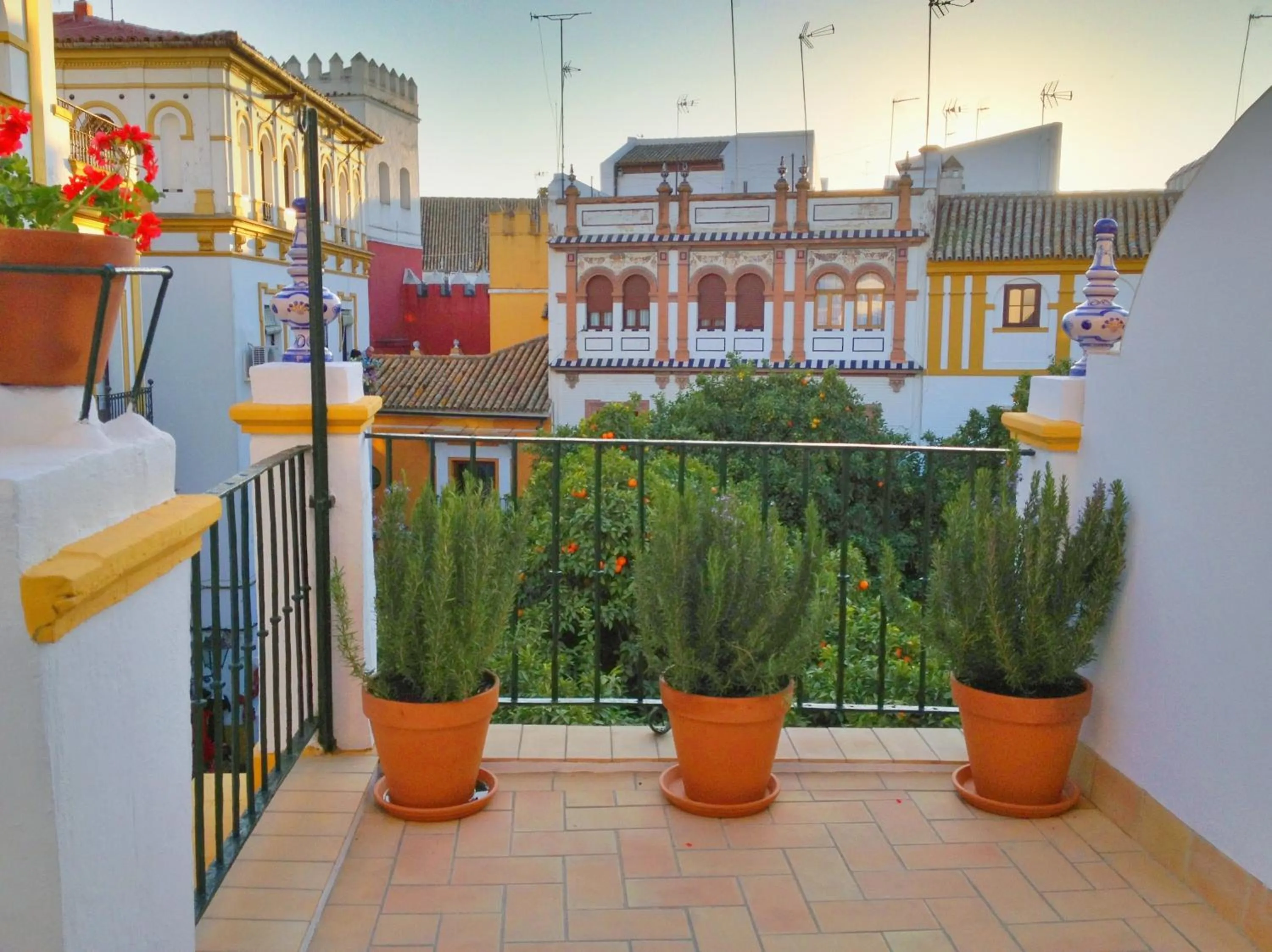 Balcony/Terrace in Hotel Boutique Elvira Plaza