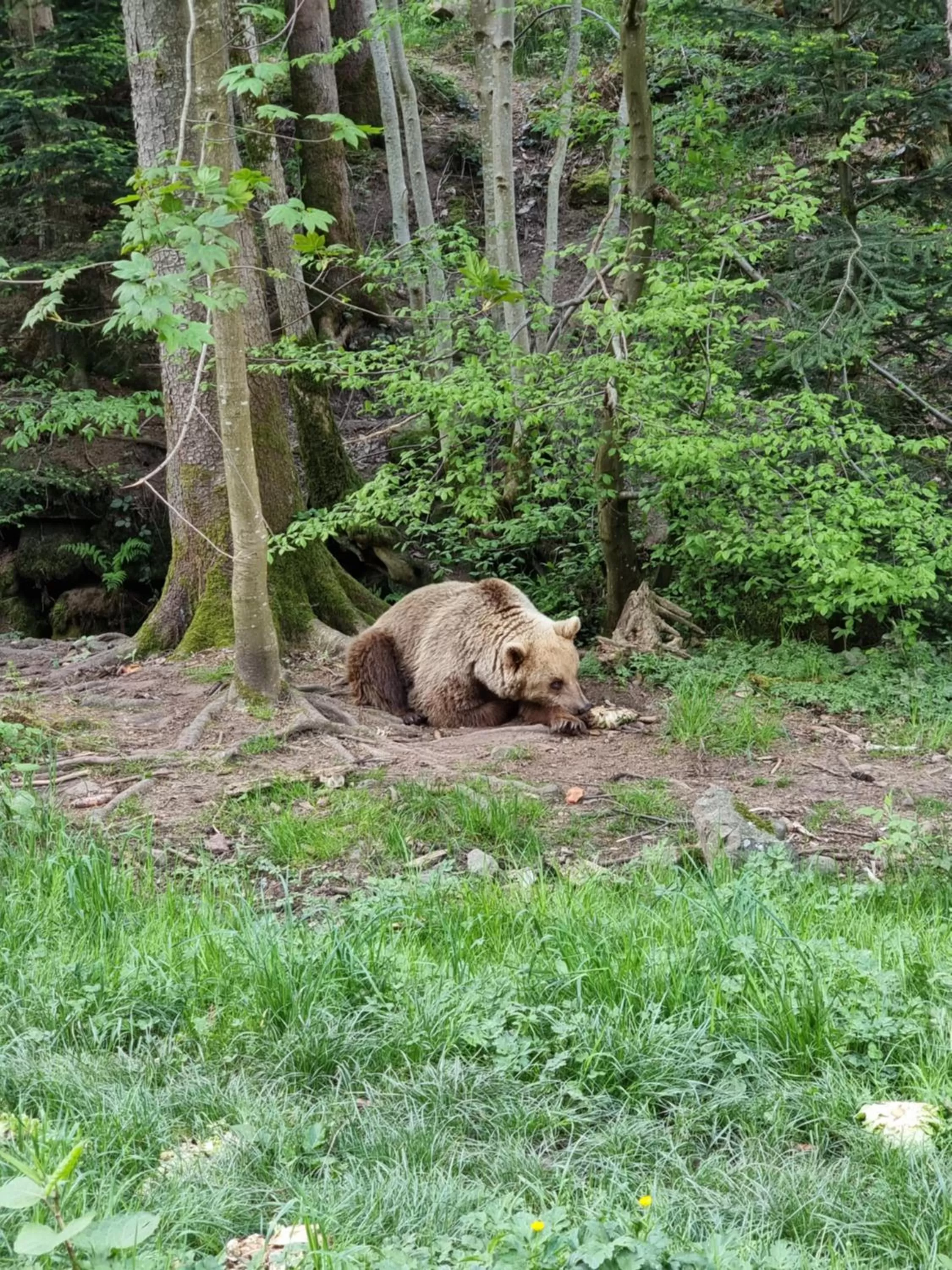 Nearby landmark in Kurparkhotel Faißt