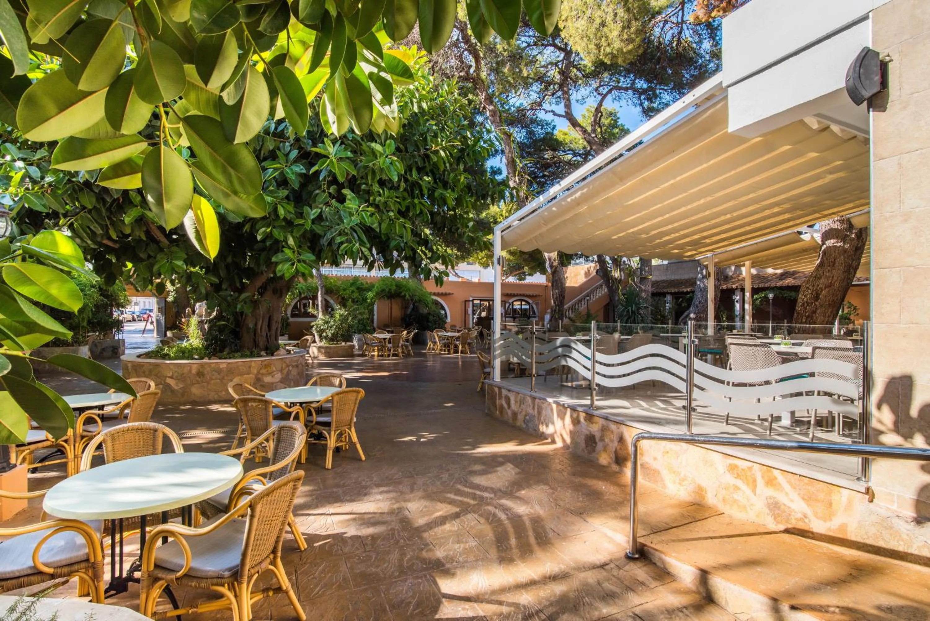 Restaurant/places to eat in Hotel Baviera