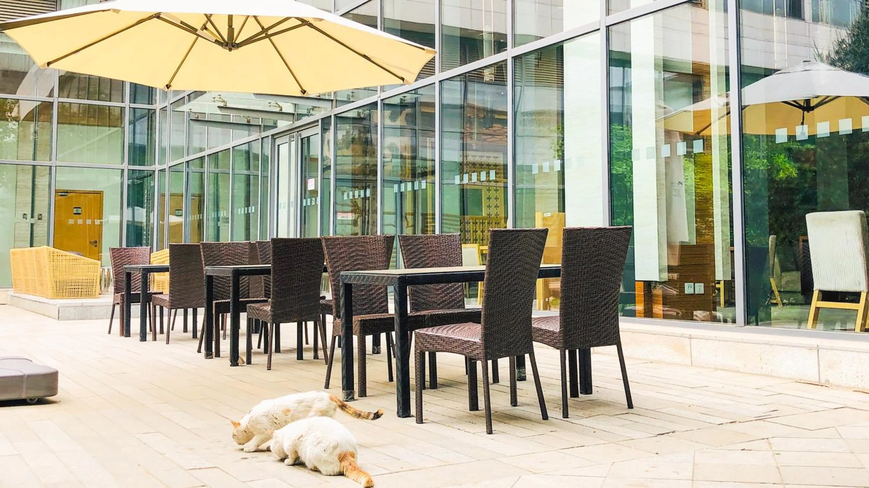 Property building in Holiday Inn Beijing Shijingshan Parkview by IHG