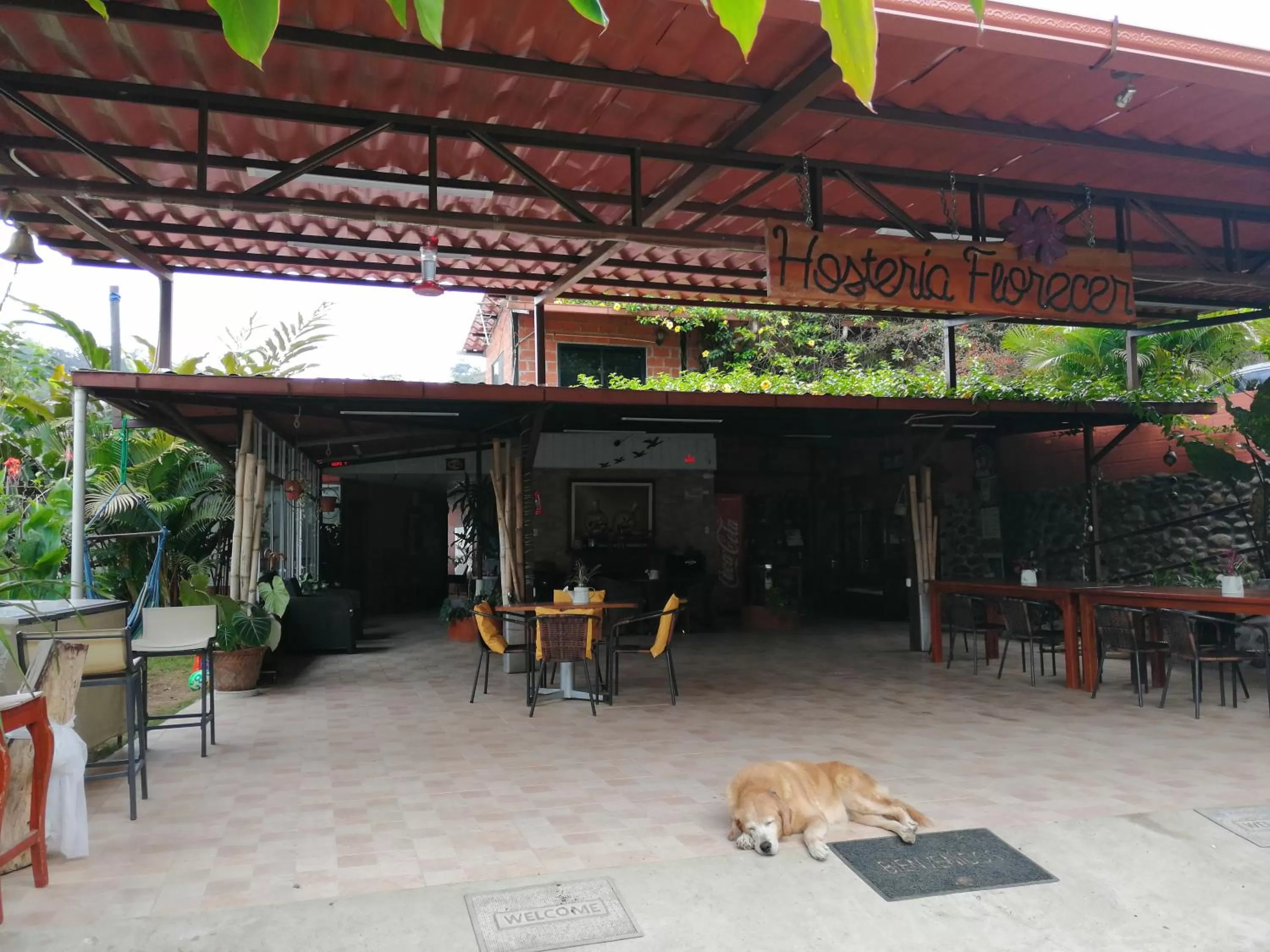 Restaurant/Places to Eat in Hosteria Florecer