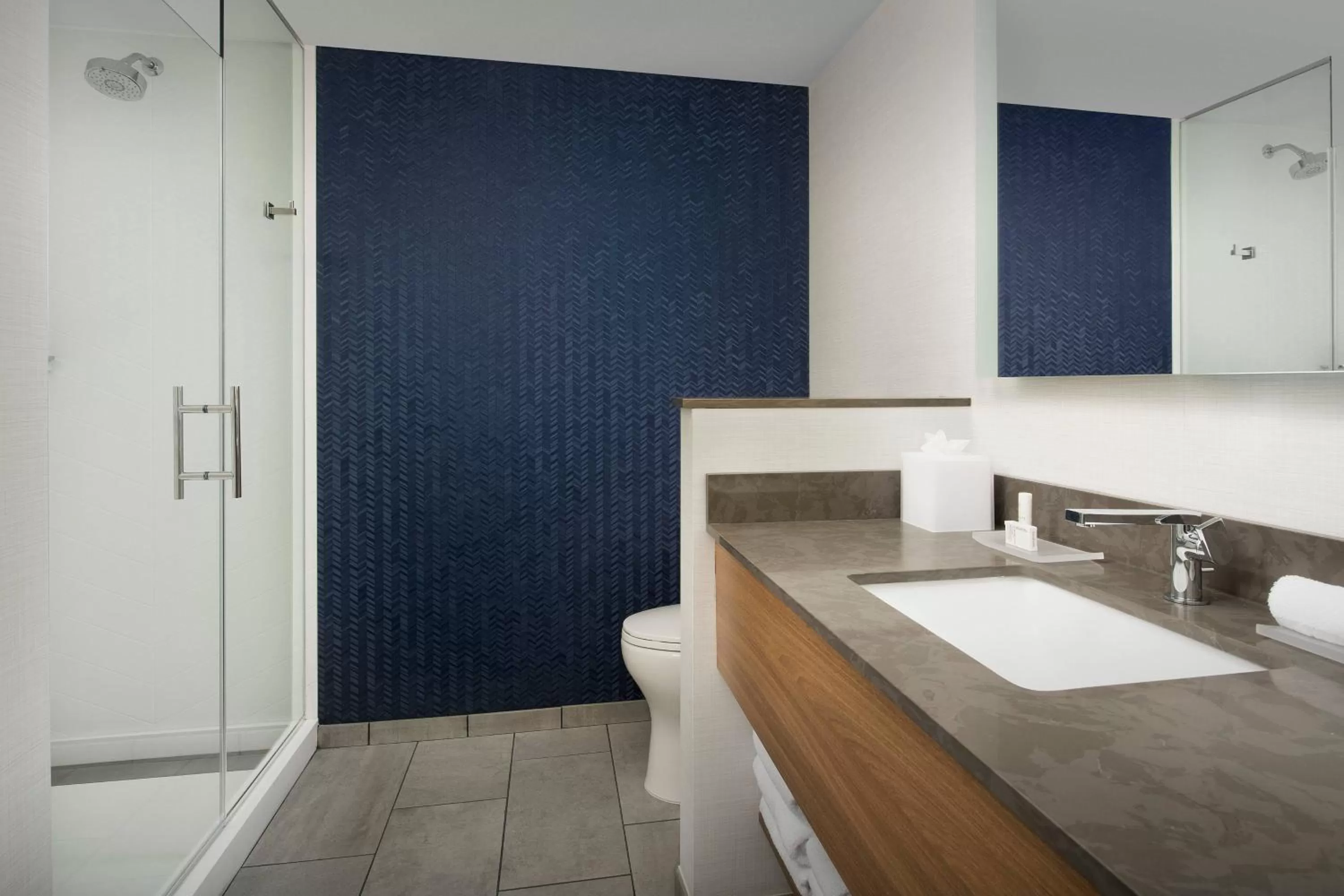 King Room with Adapted Tub - Mobility Accessible in Fairfield Inn & Suites Nashville Near Vanderbilt