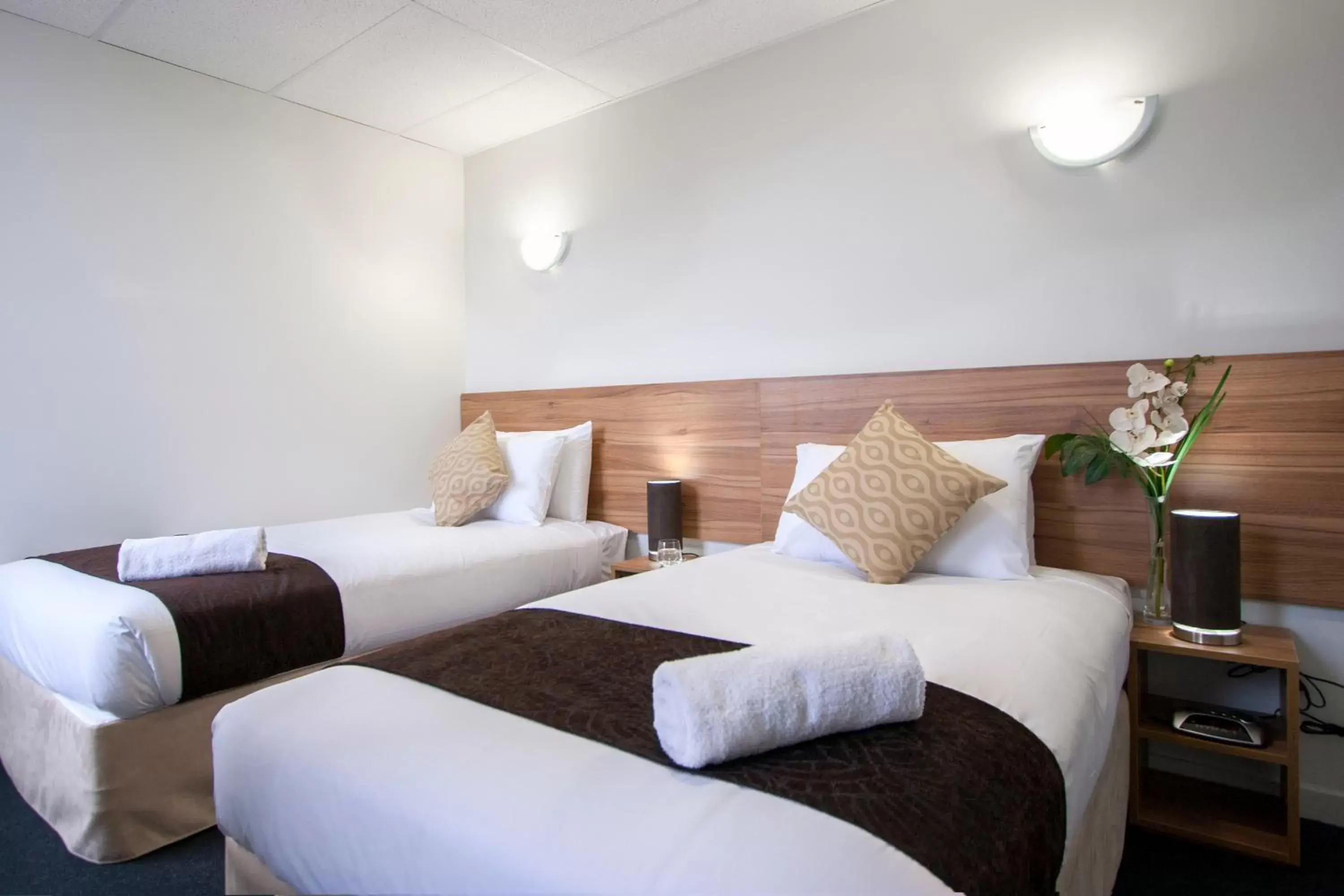 Twin Room in Ascotia Off Queen Twin Room in Ascotia Off Queen