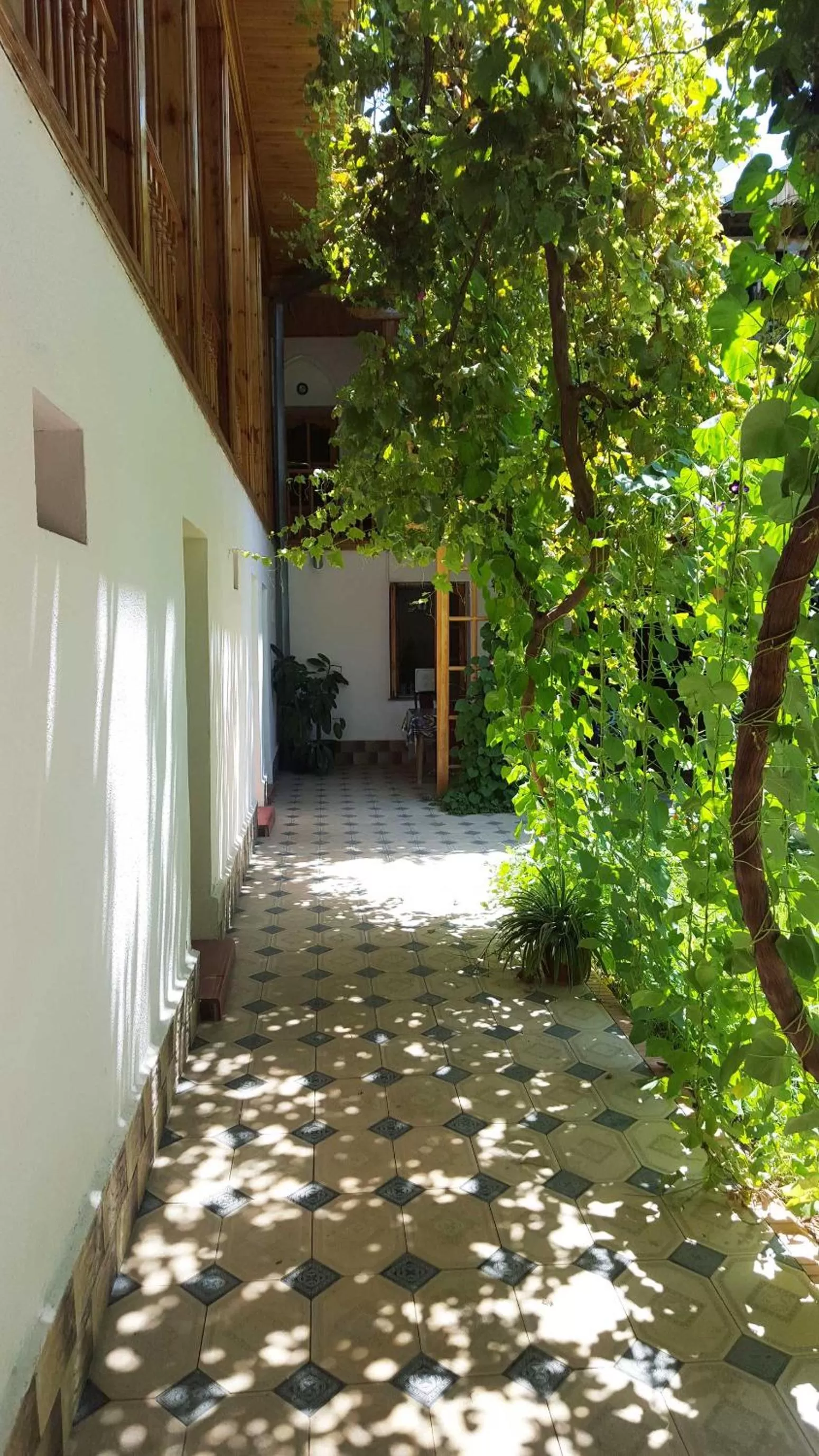 Garden in Jahongir Guest House