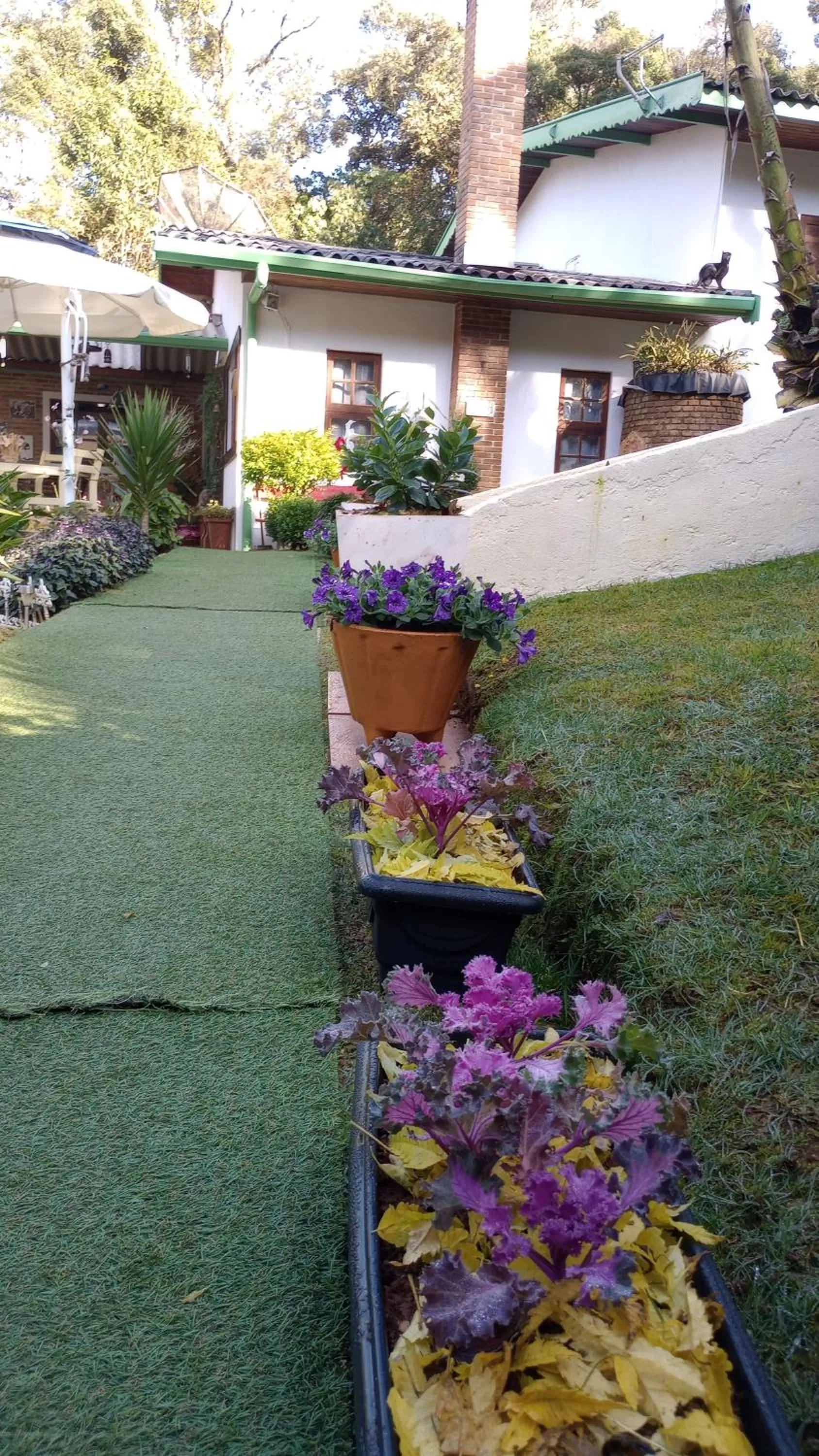 Spring in Rancho da Raposa em Campos do Jordão