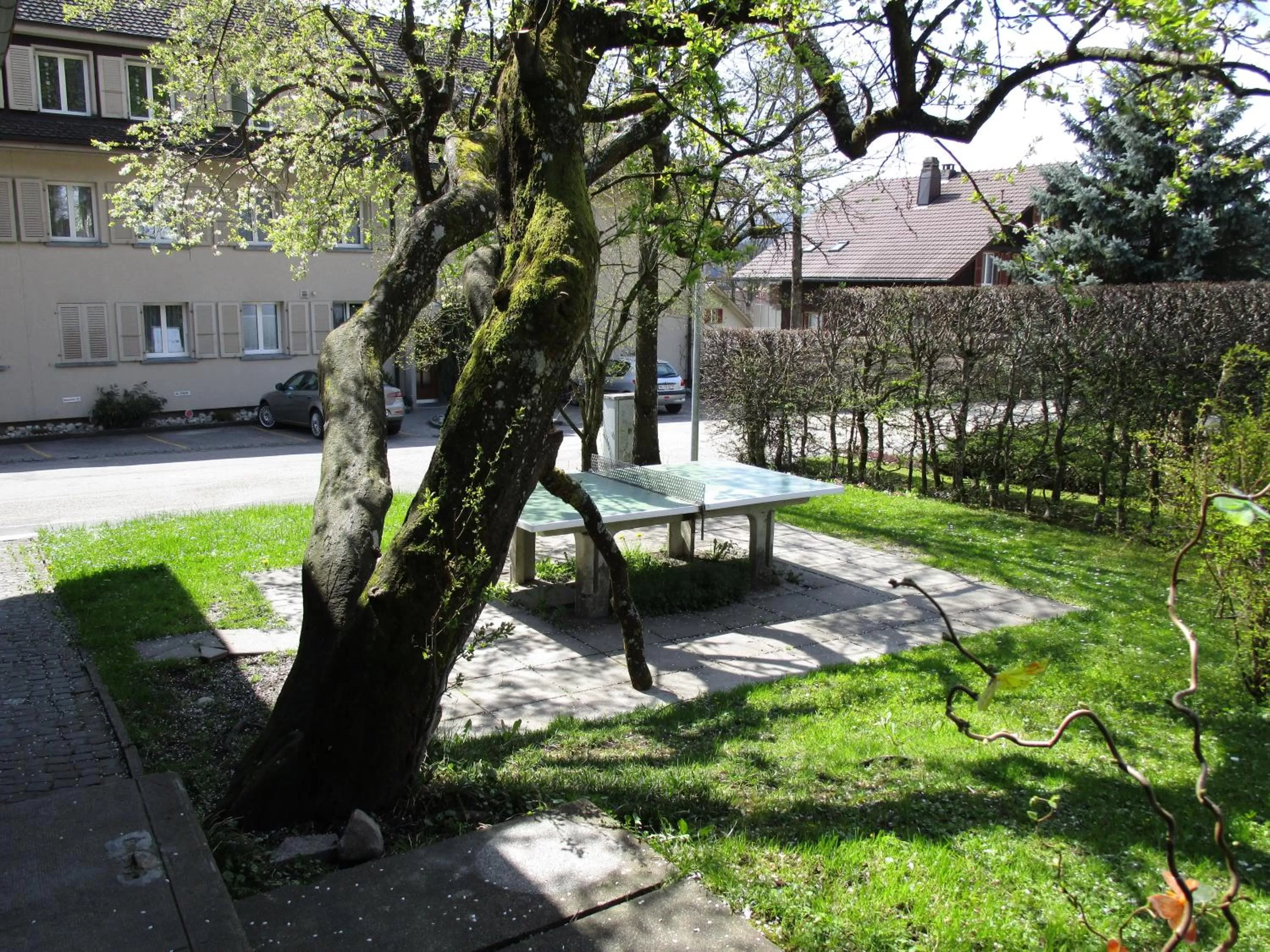 Table tennis, Swimming Pool in Emme Lodge