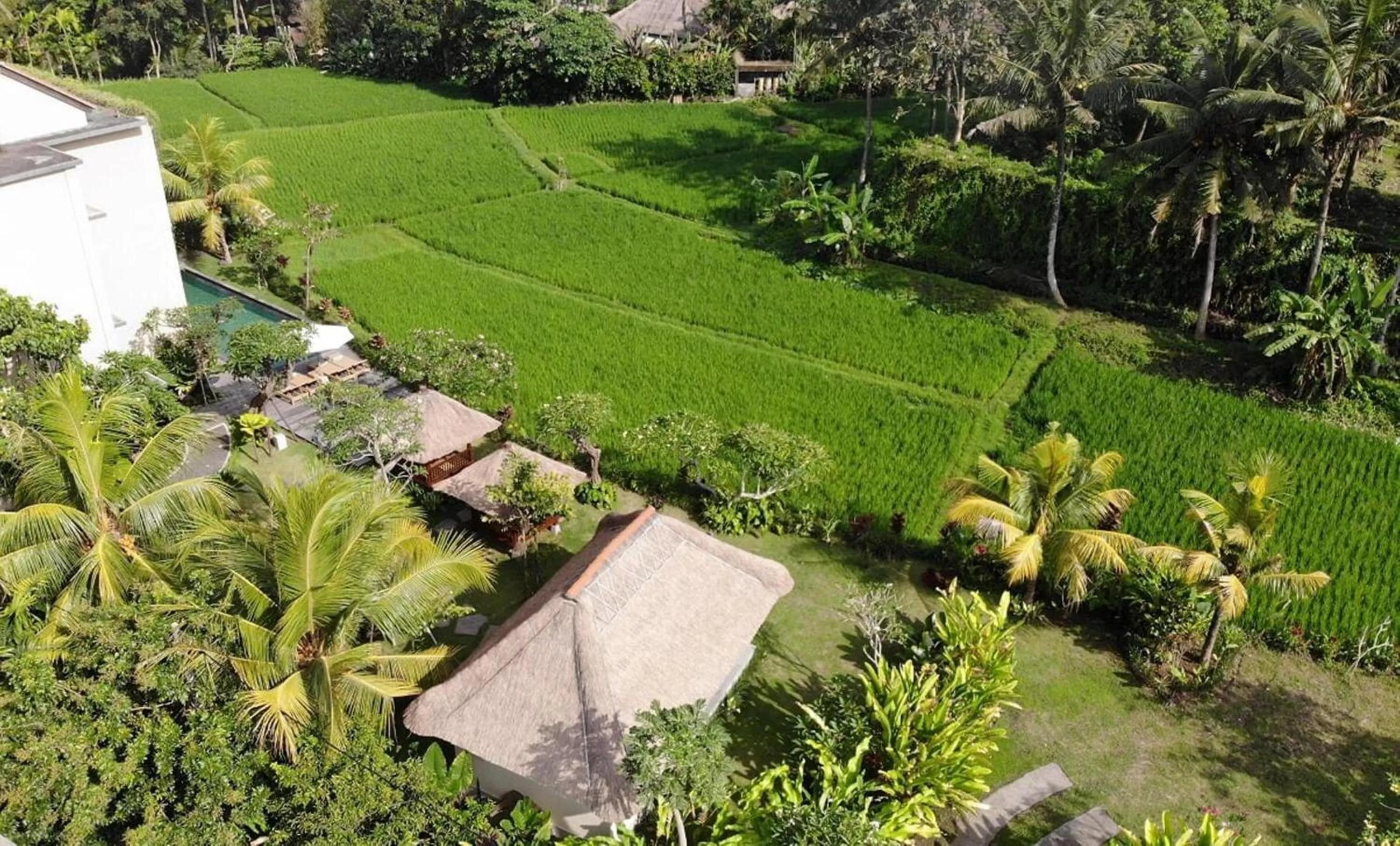 Garden in Byasa Ubud