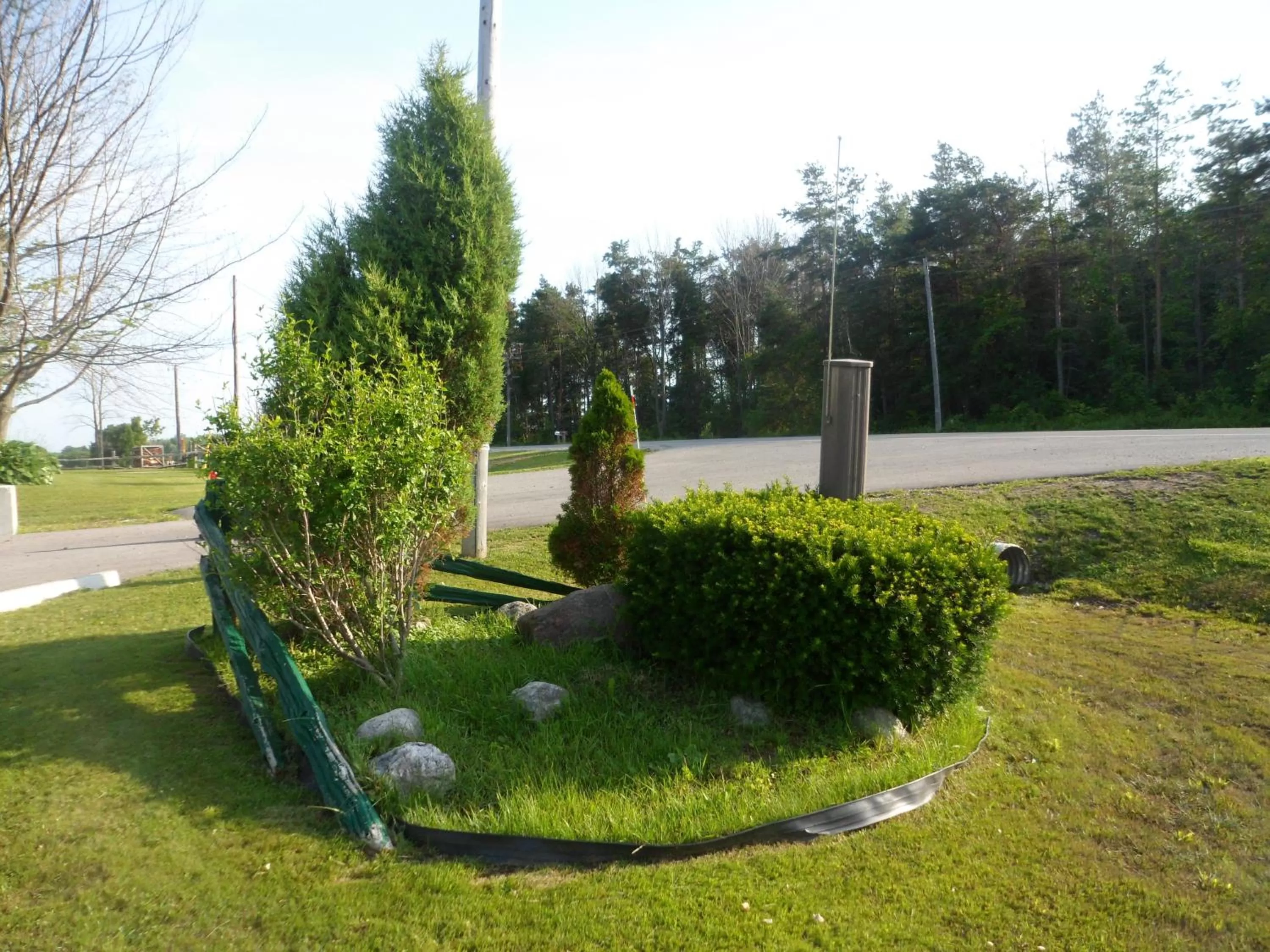Decorative detail in The Silver Birch Motel