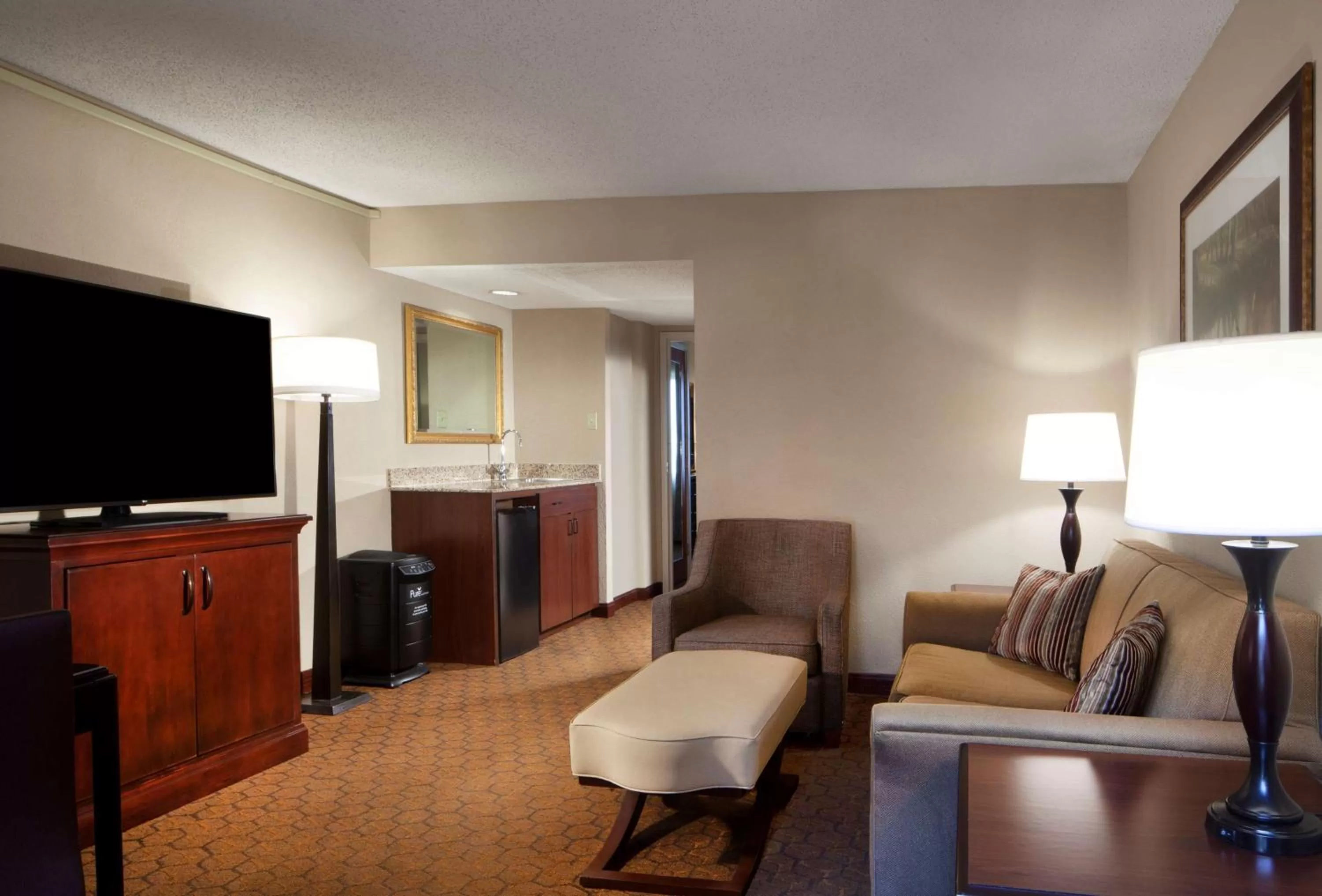 One-Bedroom King Suite - Allergy Friendly in Embassy Suites by Hilton Dallas Near the Galleria