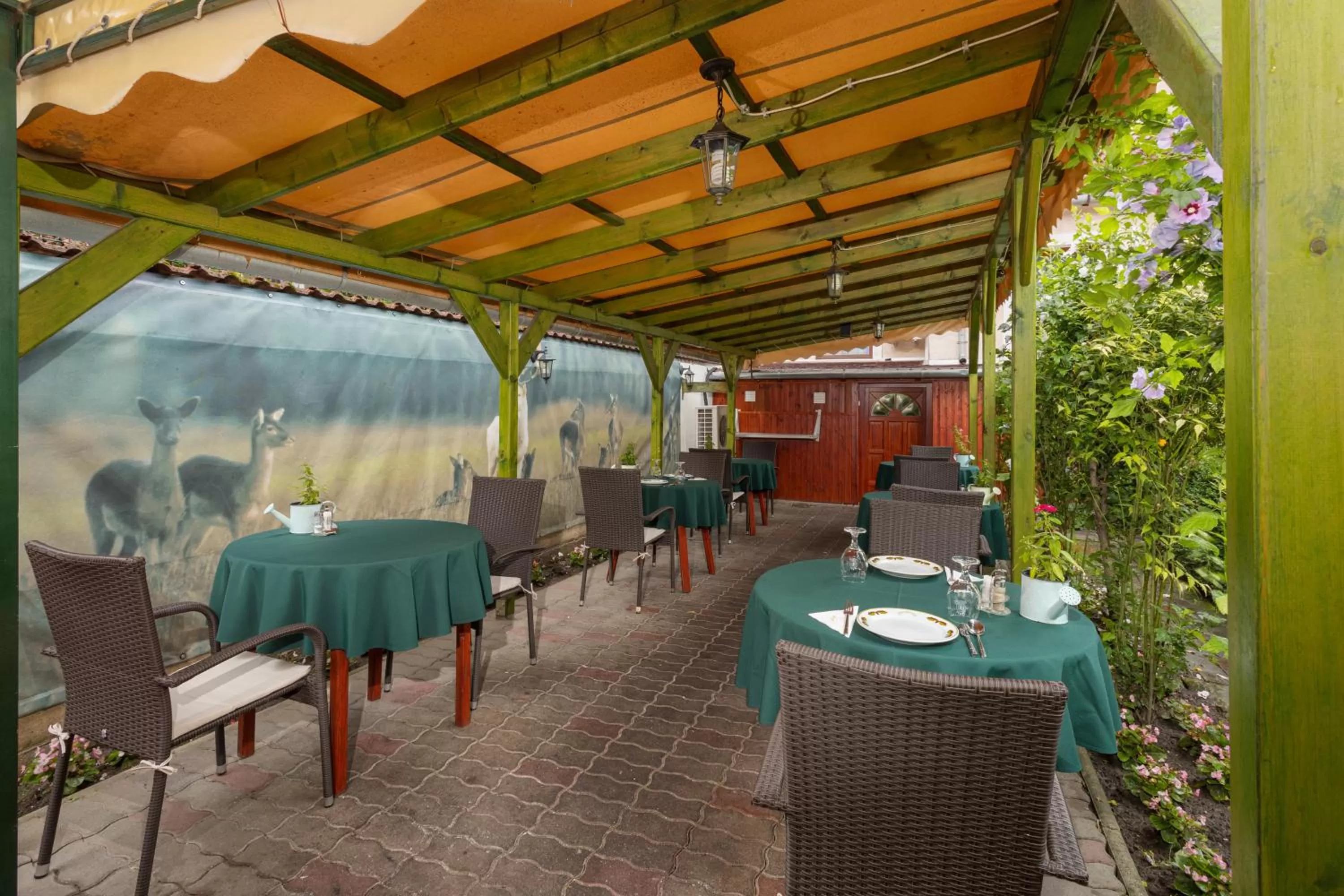 Restaurant/places to eat in Illés Hotel