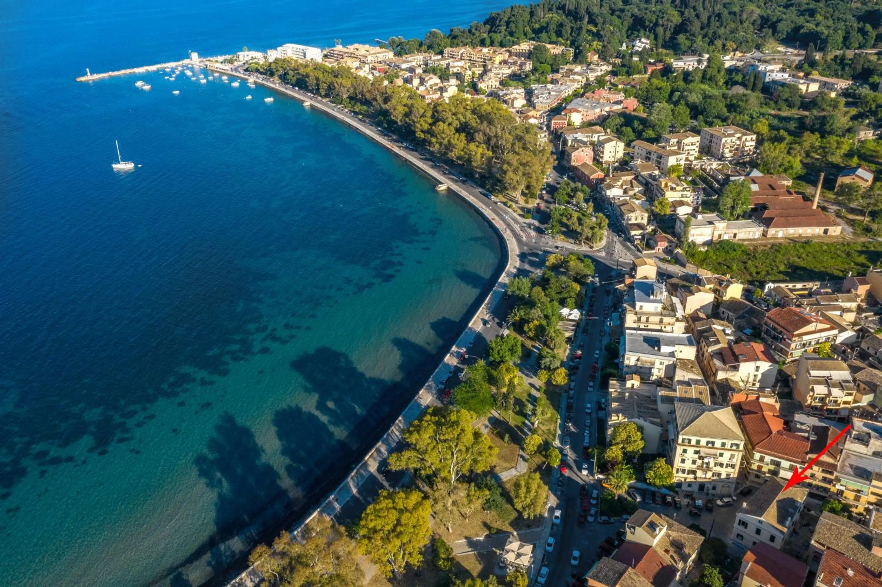 Natural landscape in Acanthus blue