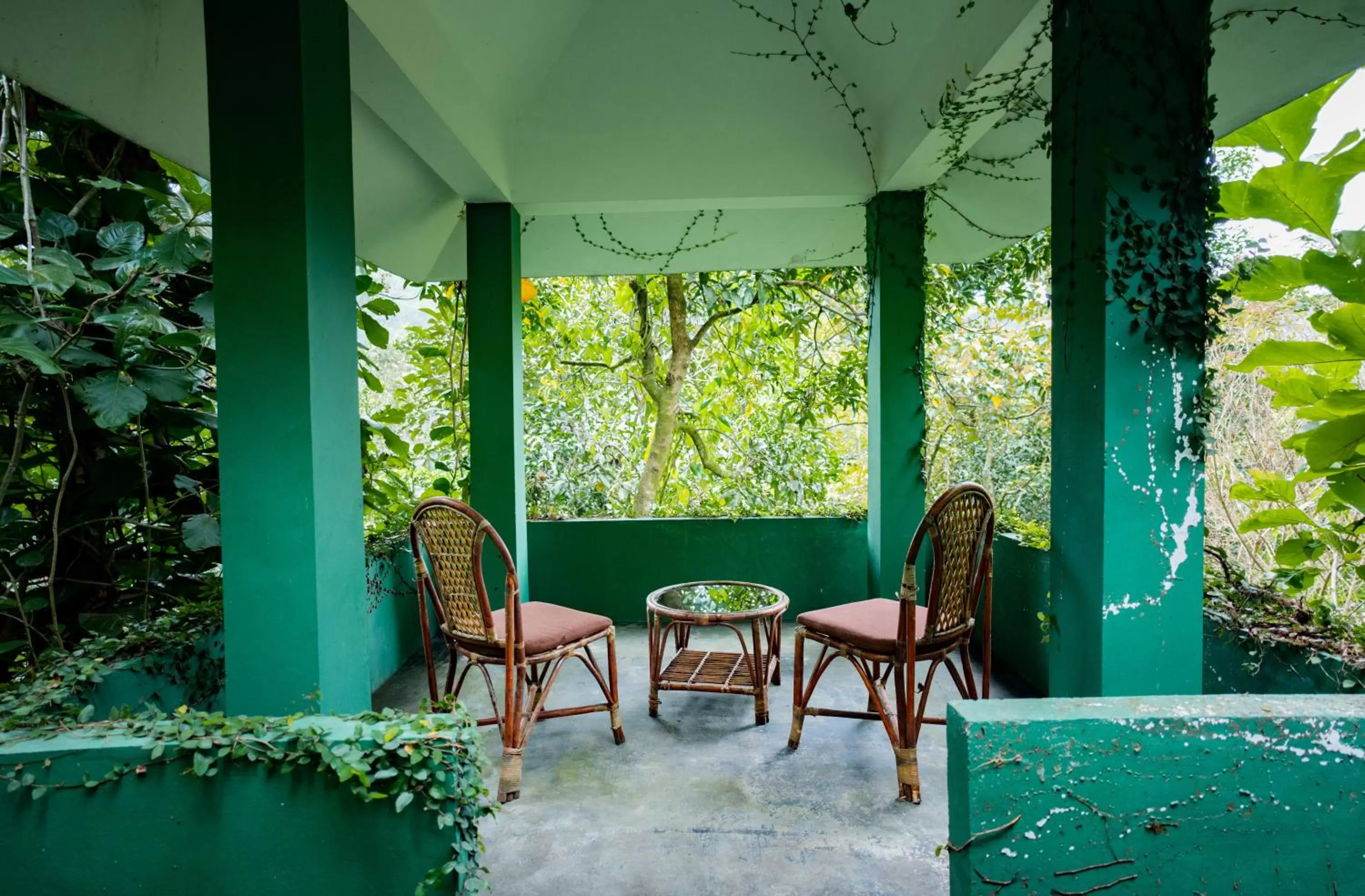 View (from property/room) in Edens Munnar