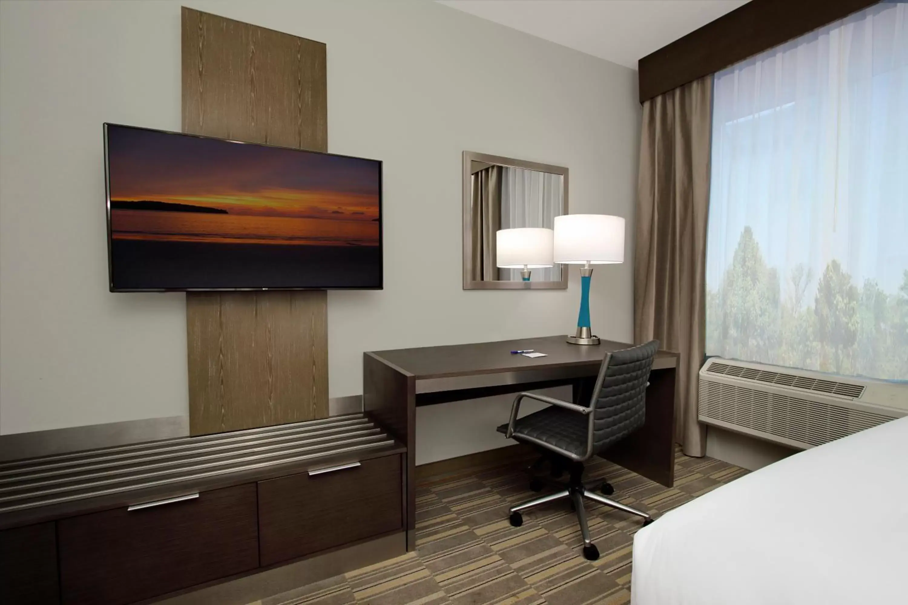 King Room - Hearing Accessible - Non-Smoking in Holiday Inn Express & Suites - Lake Charles South Casino Area, an IHG Hotel King Room - Hearing Accessible - Non-Smoking in Holiday Inn Express & Suites - Lake Charles South Casino Area, an IHG Hotel