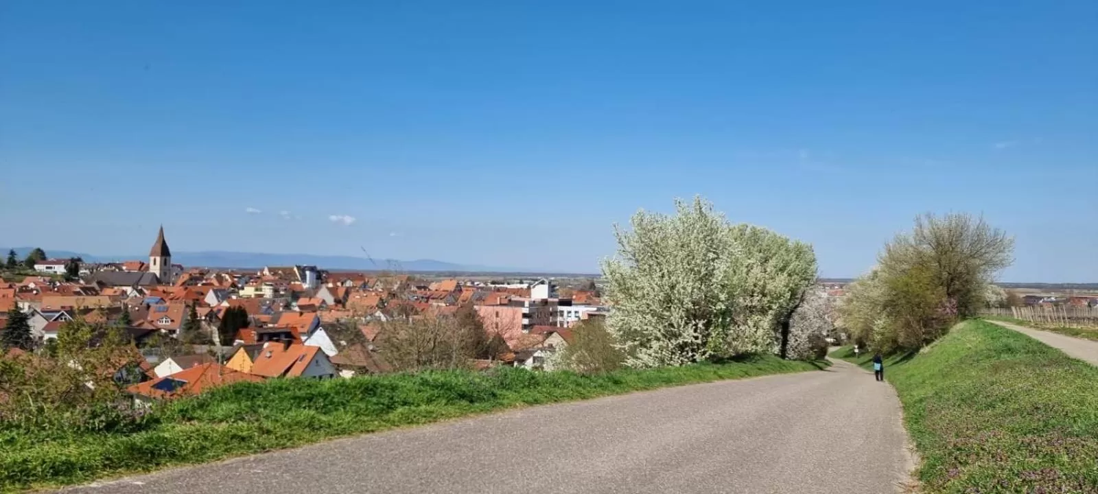 Property building in Hotel Engel