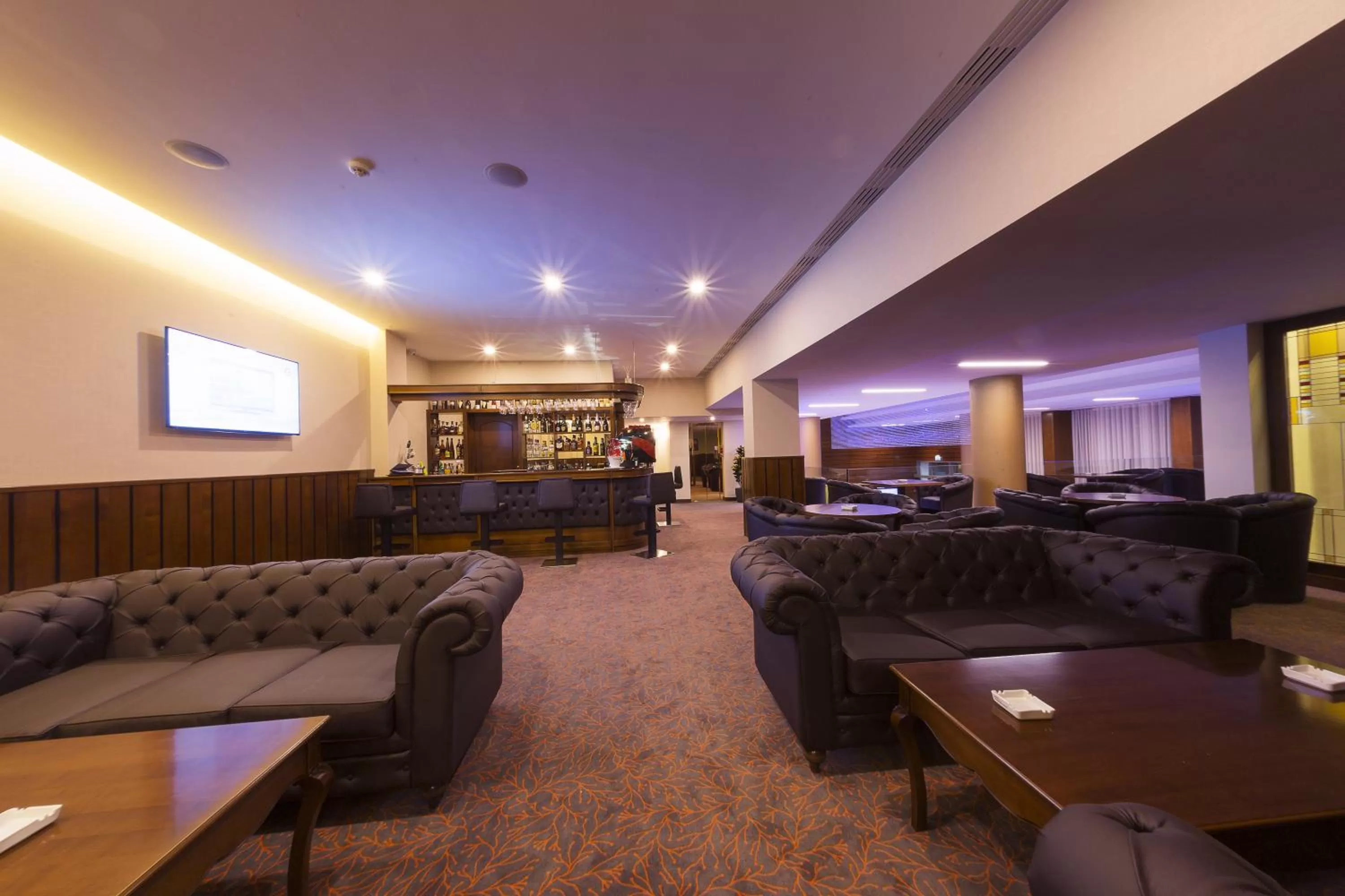 Lounge or bar in Hotel Transilvania