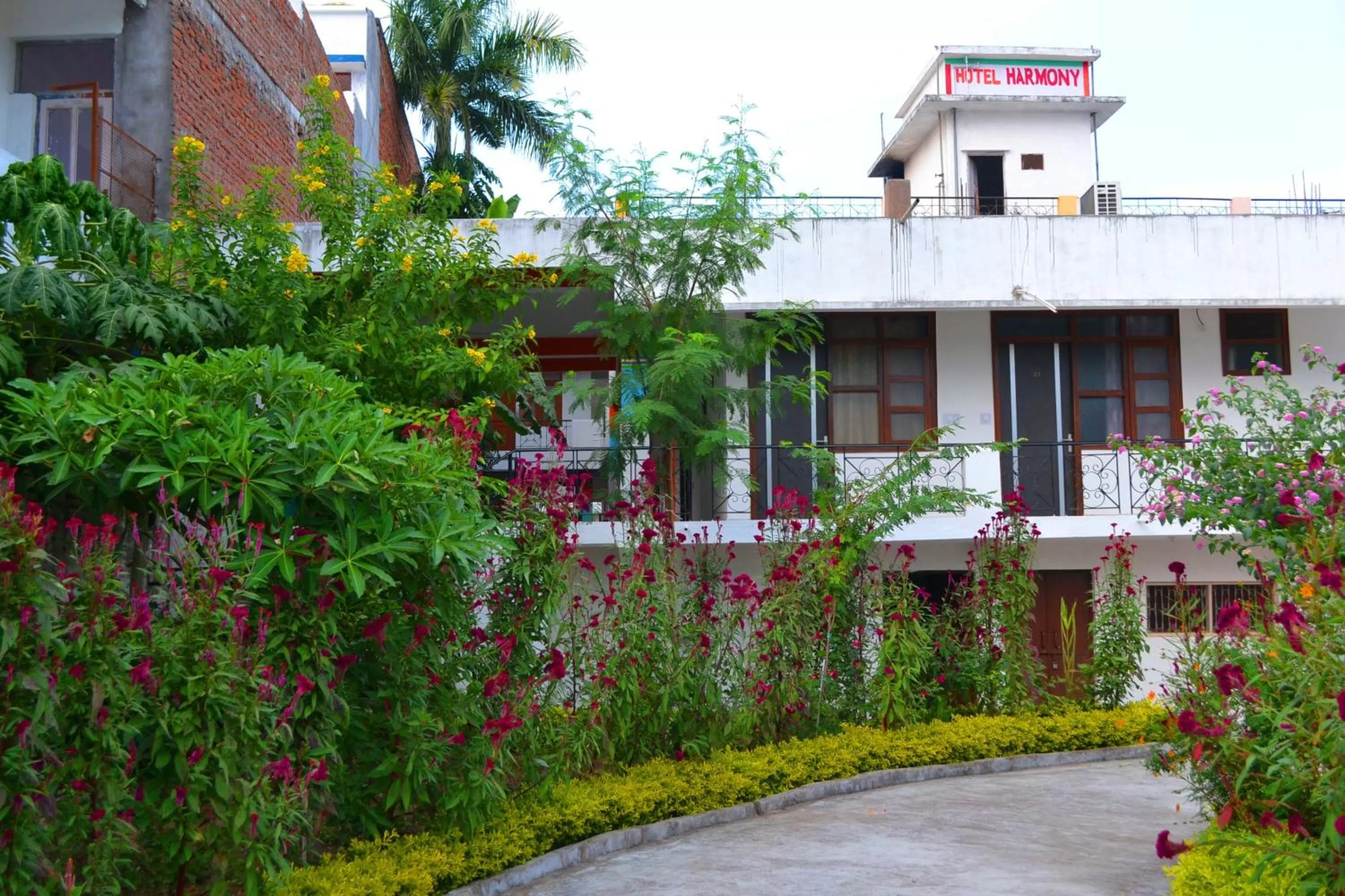 Property building in Hotel Harmony