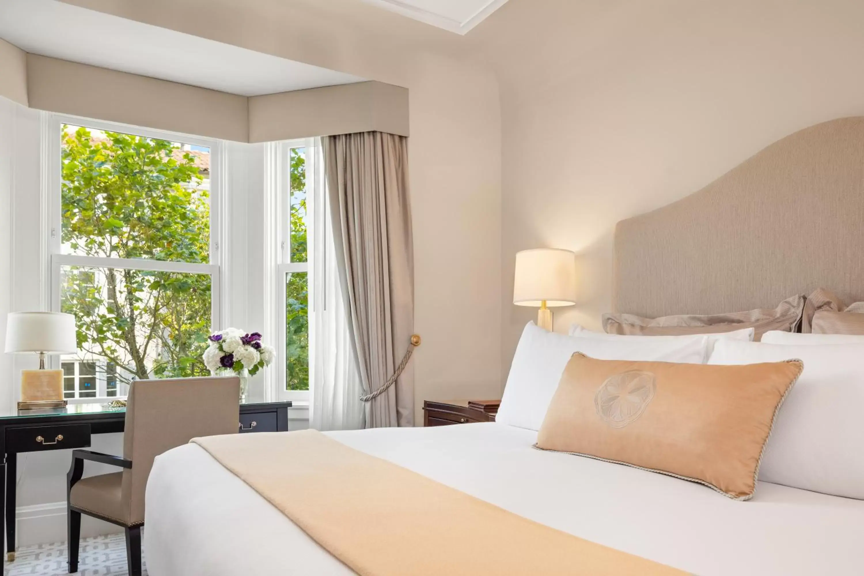 Double Room in Hotel Drisco Double Room in Hotel Drisco