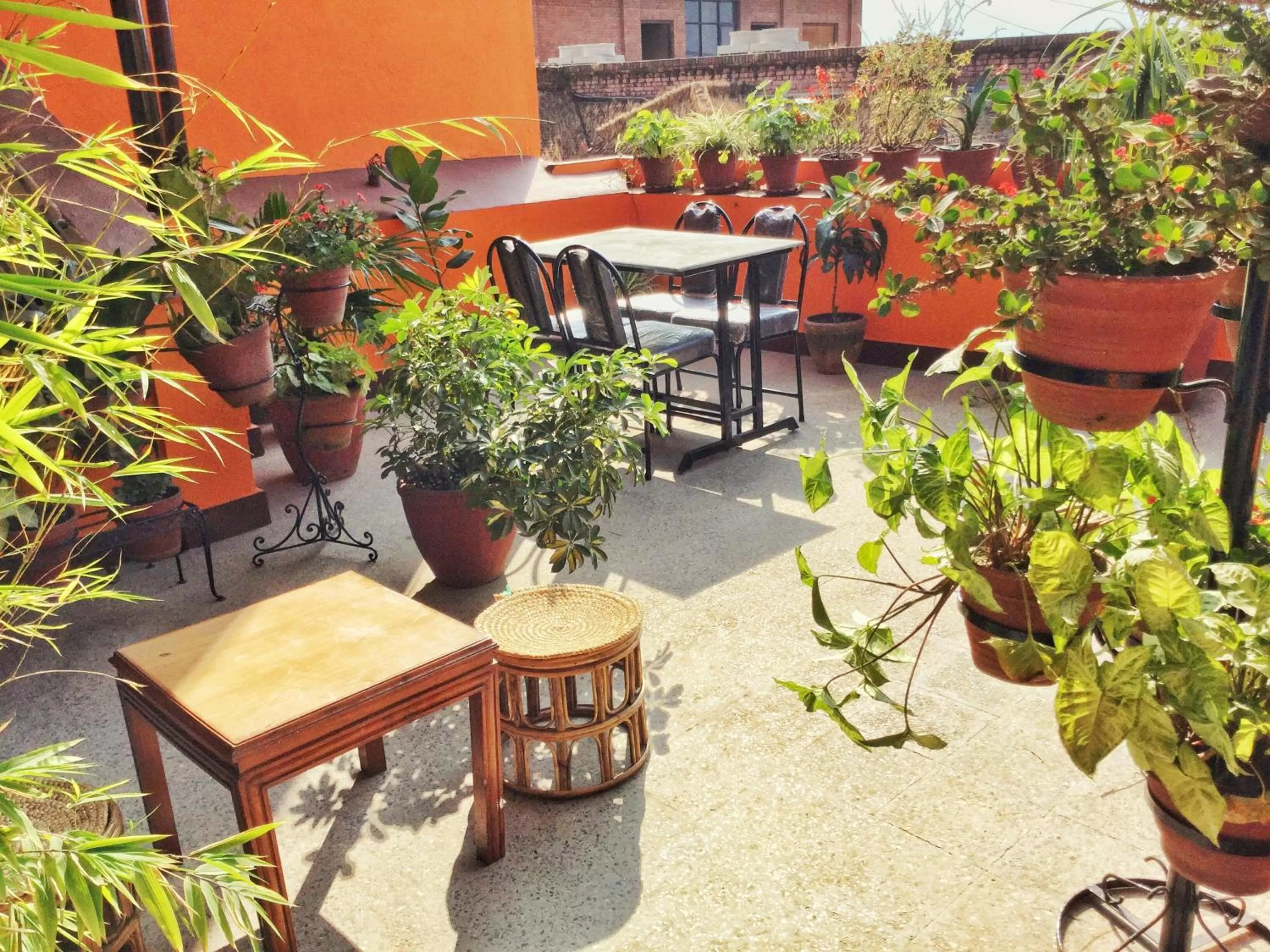 Garden in Trekkers Home