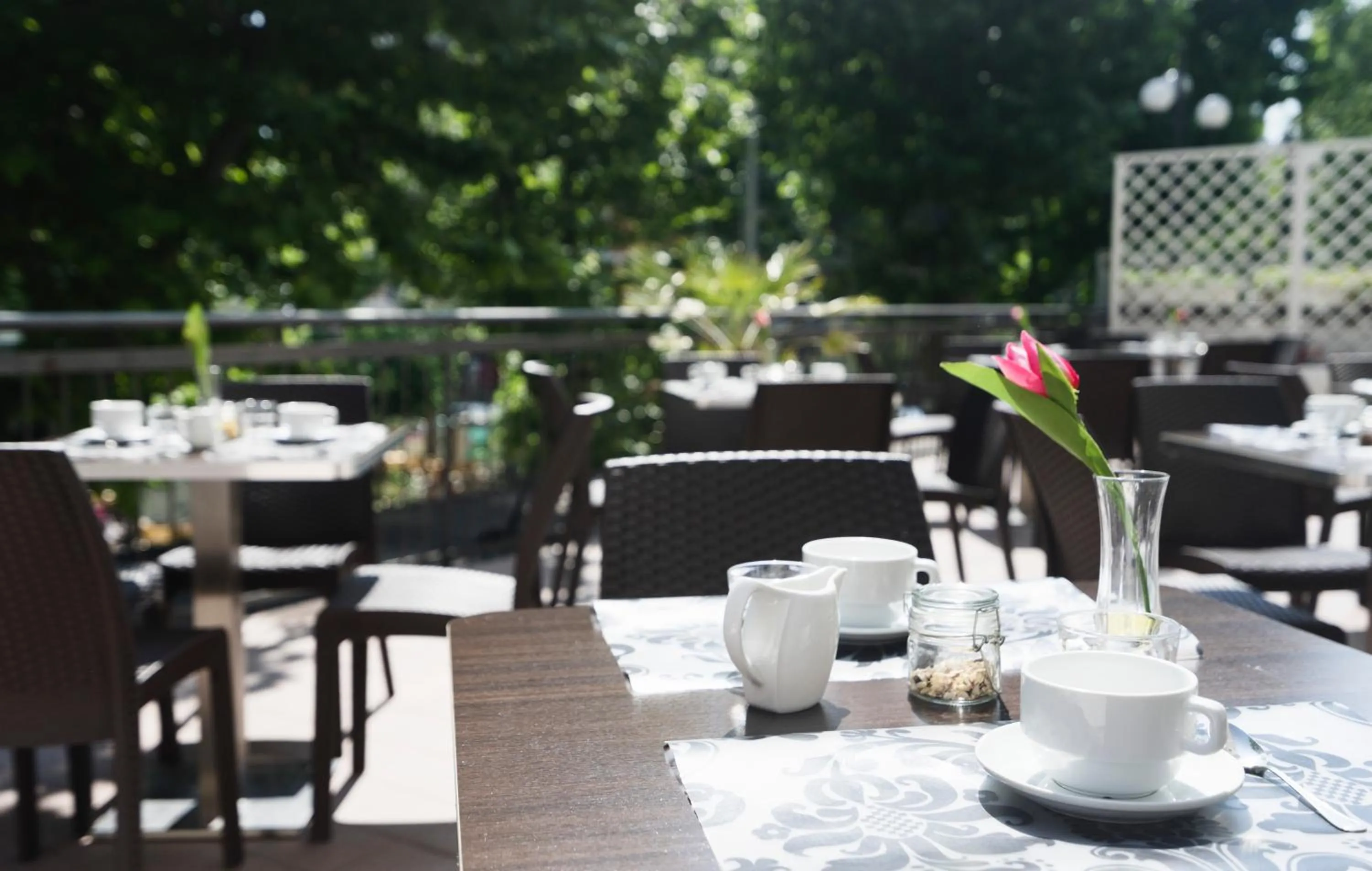 Garden in Club Meeting Hotel