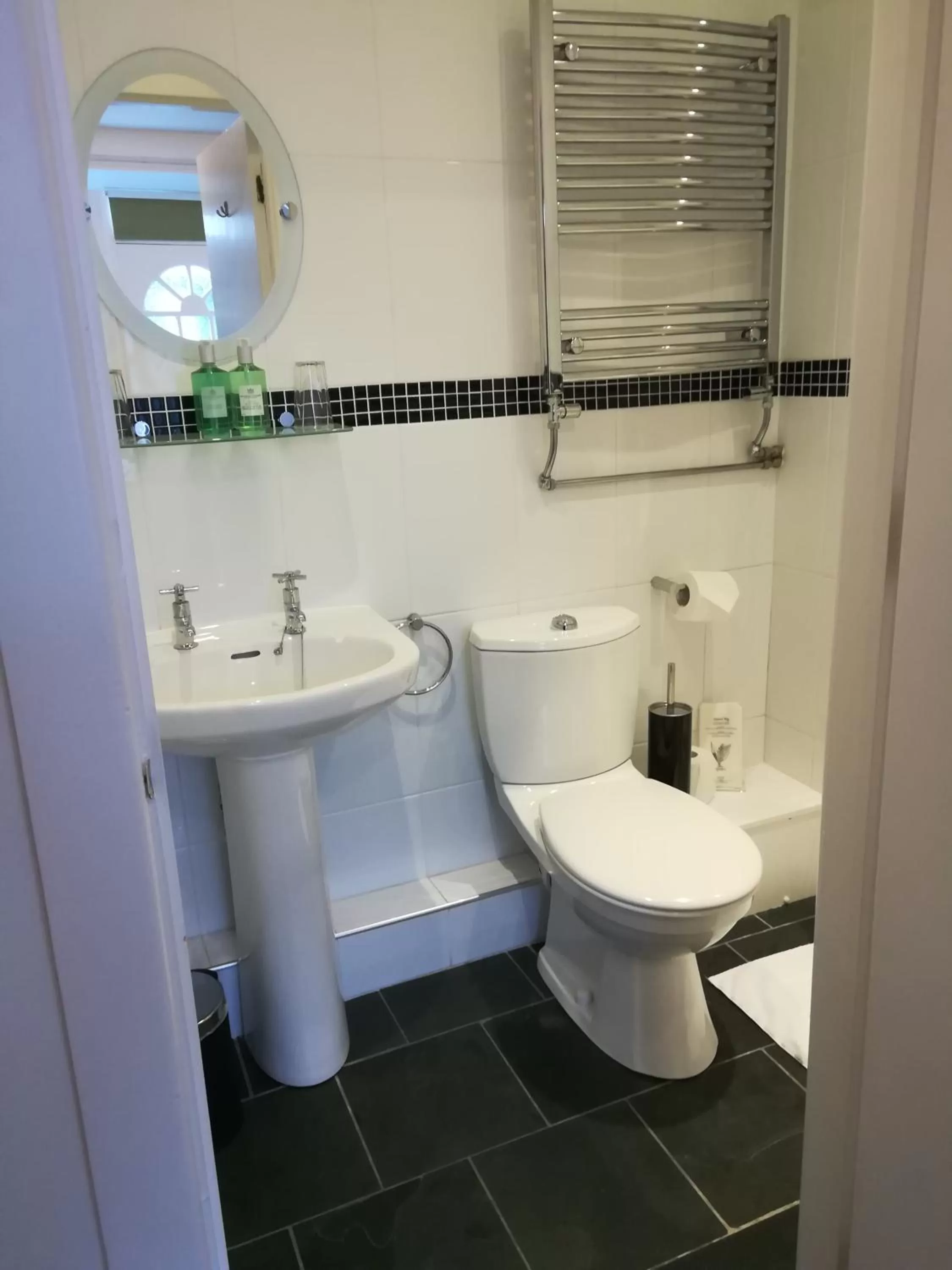 Shower in Aberconwy House B&B