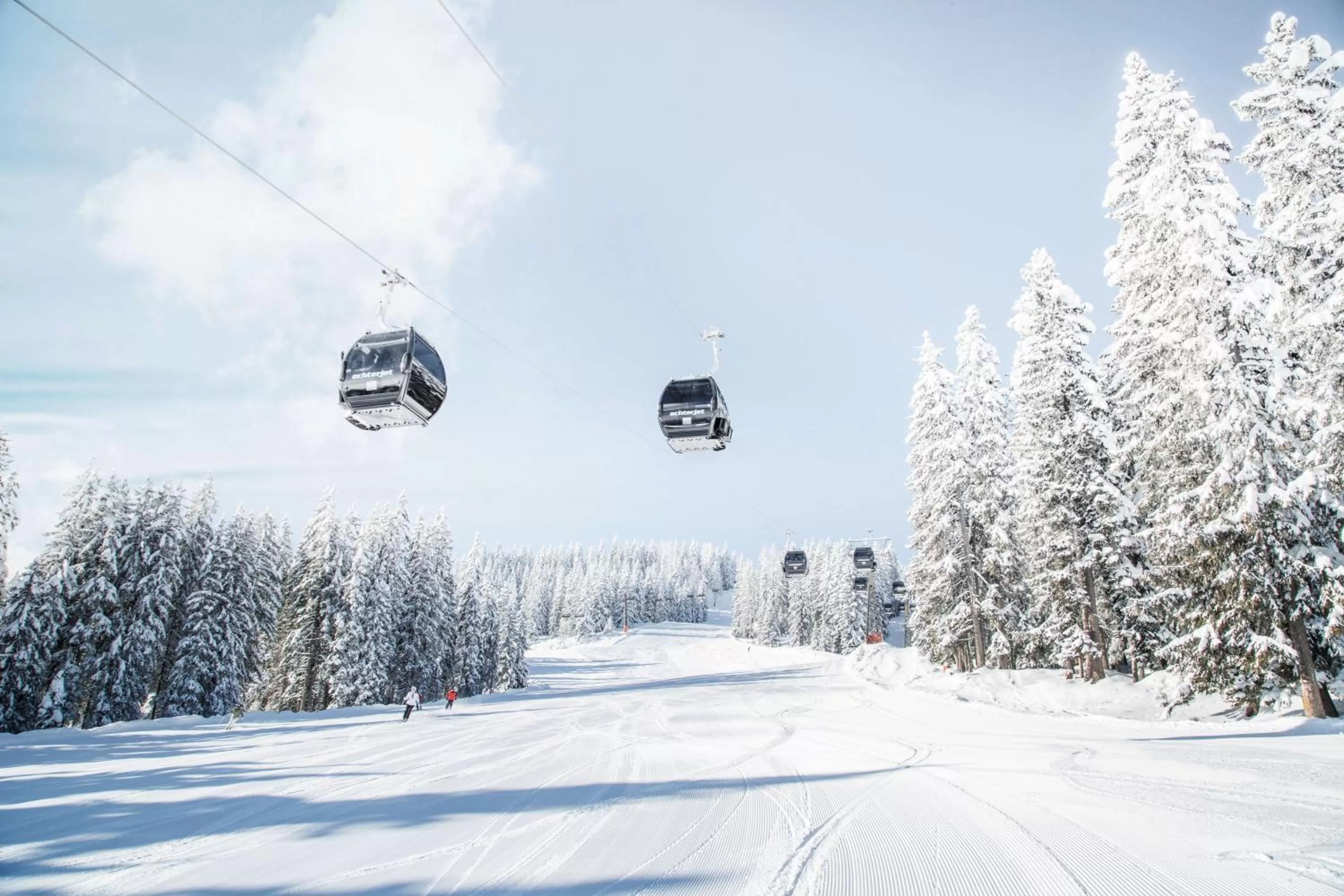 Skiing in Alpines Lifestyle Hotel Tannenhof
