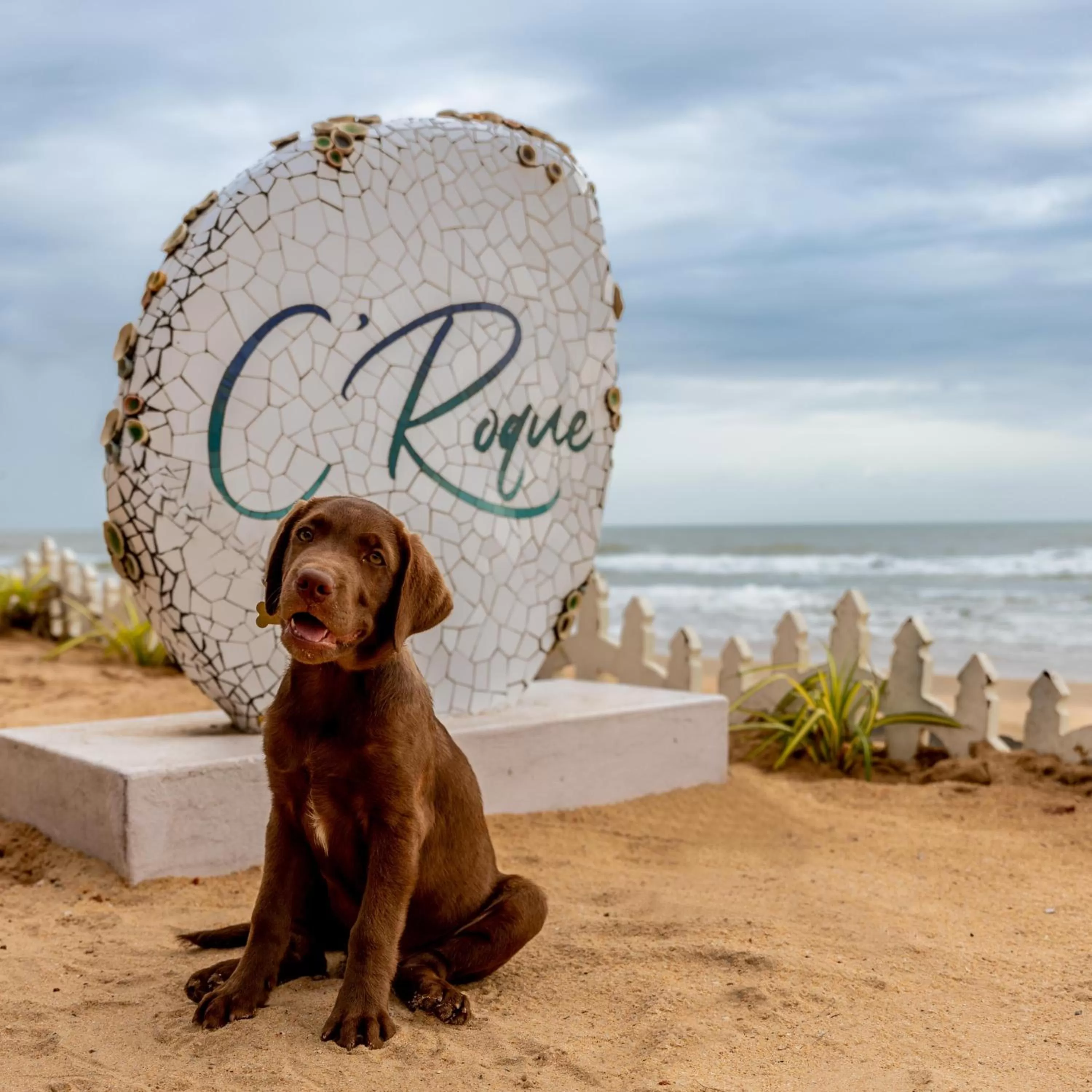 Day in C Roque Beach Resort