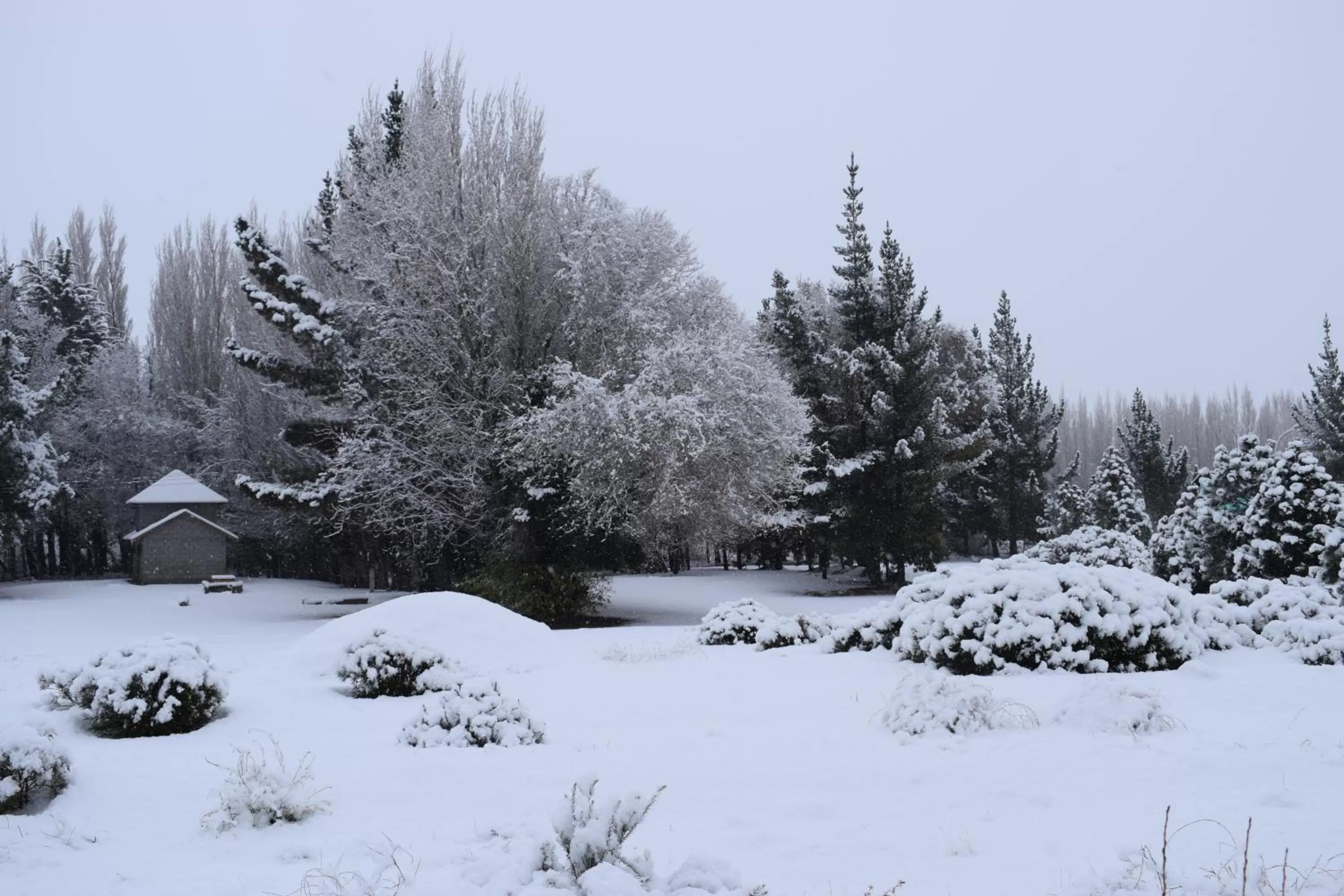 Winter in Hotel Mora