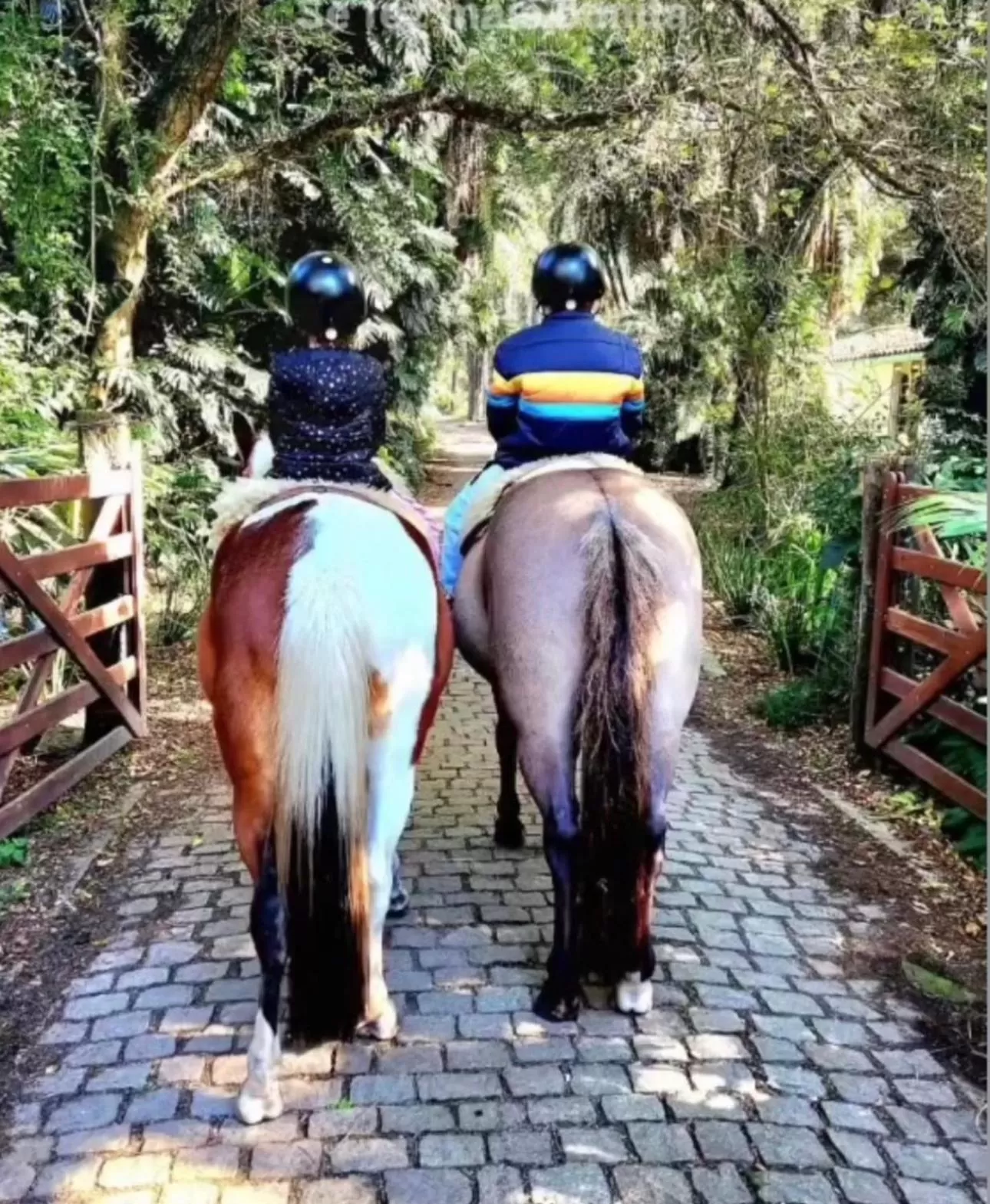 Horse-riding in Charqueada Santa Rita Pousada de Charme