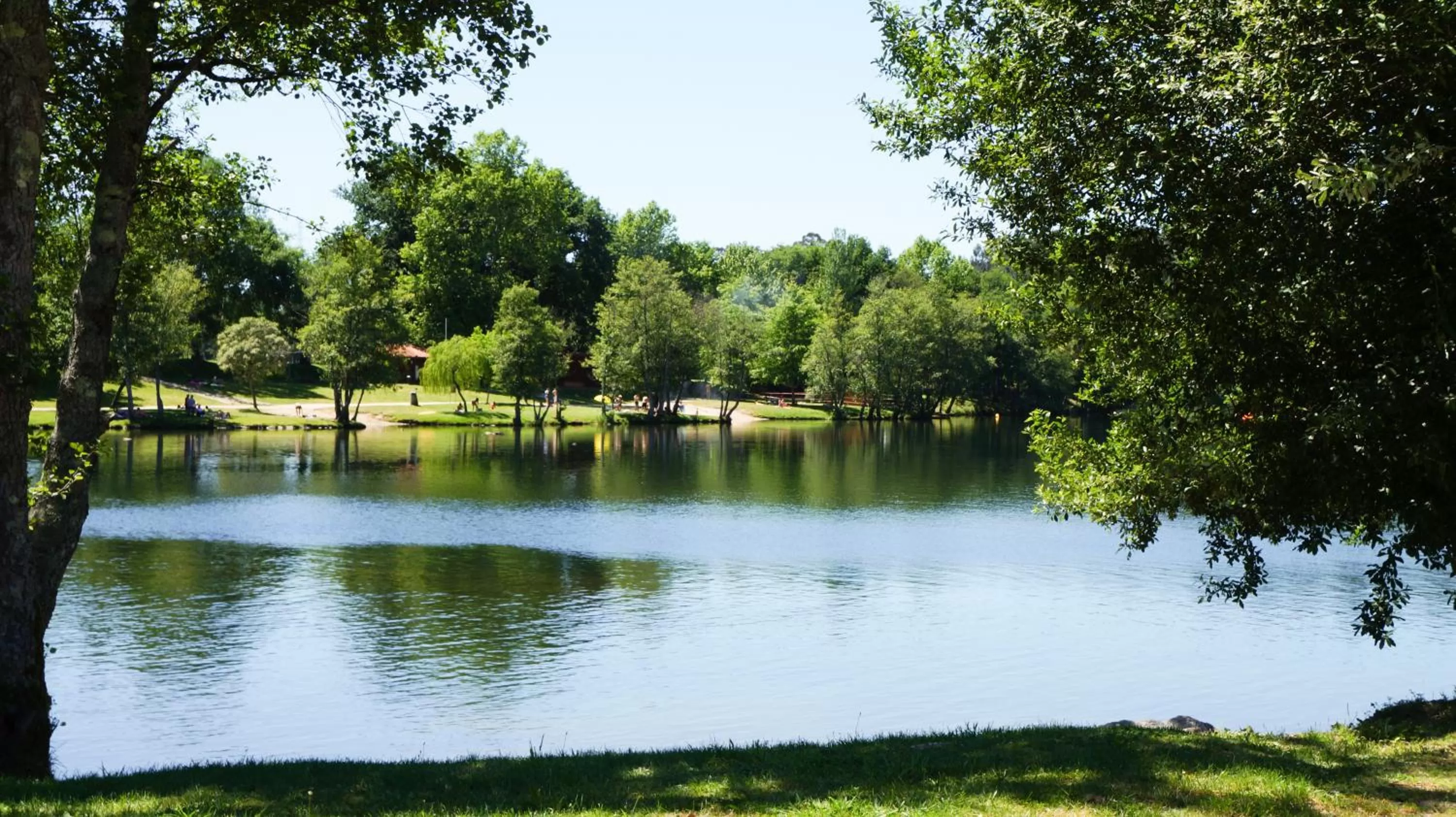 Natural landscape in B&B Villa Branca Barreiros AL98139