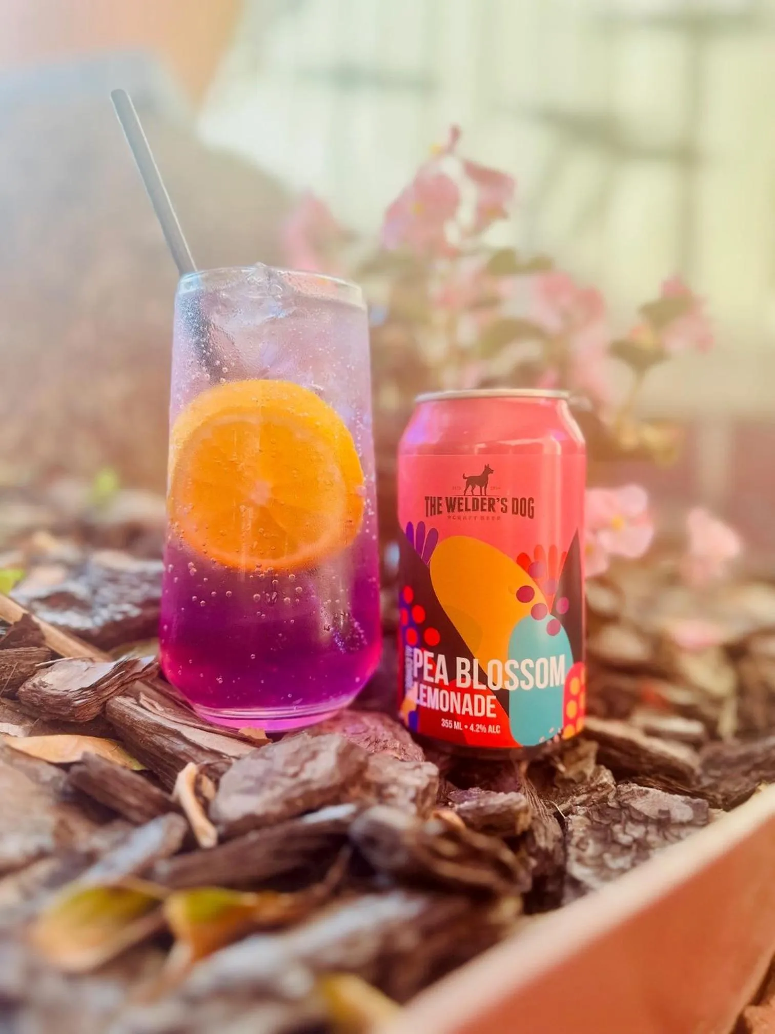 Food and drinks in Redhill Tamworth Motor Inn and Conference Centre