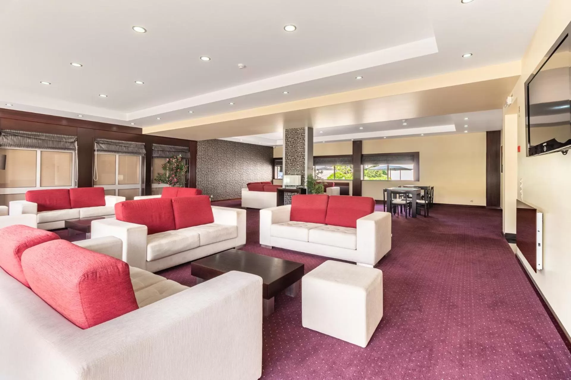 Communal lounge/ TV room in Hotel Colmeia