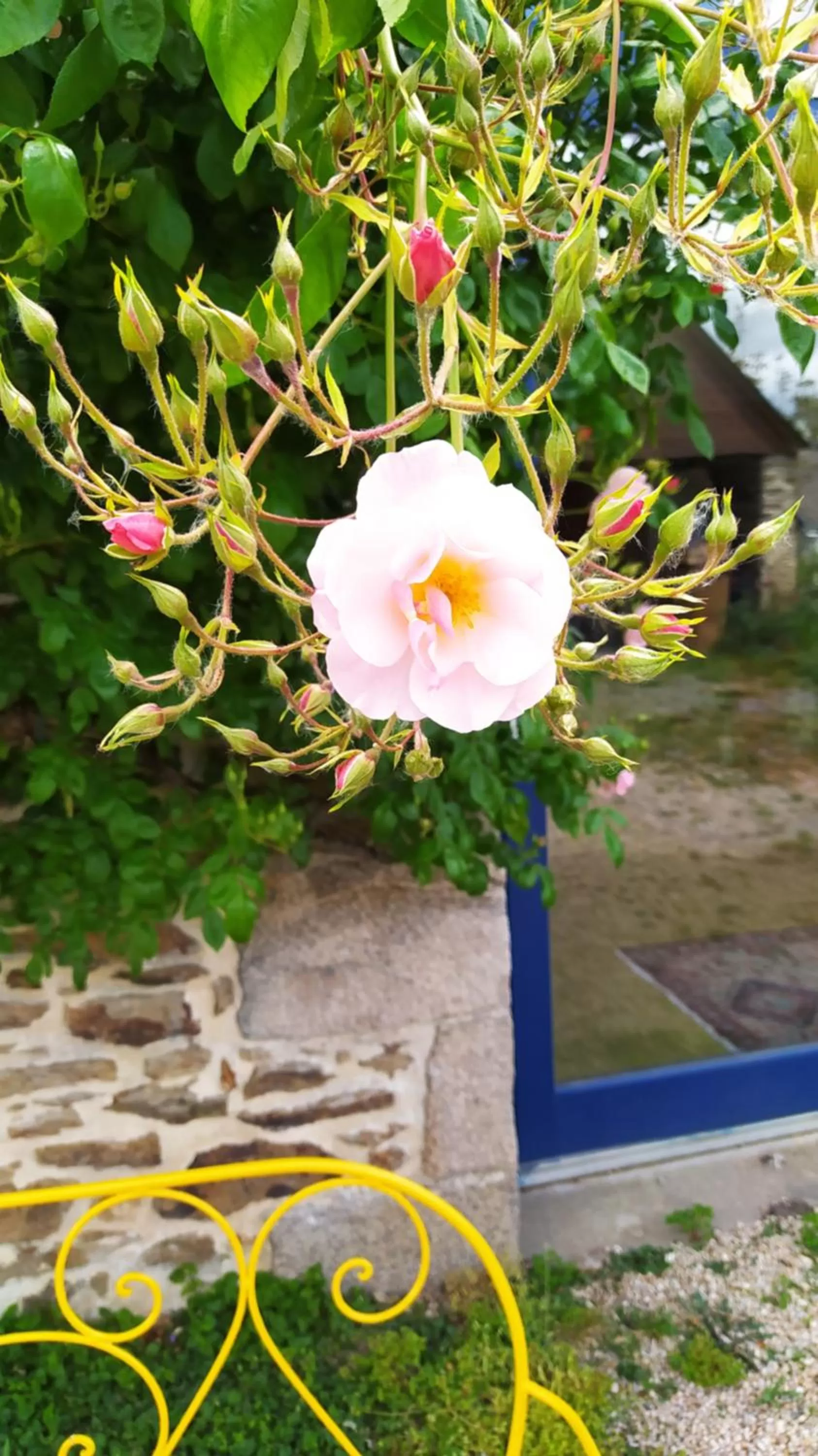 Garden in Ker Anahid - L'Atelier