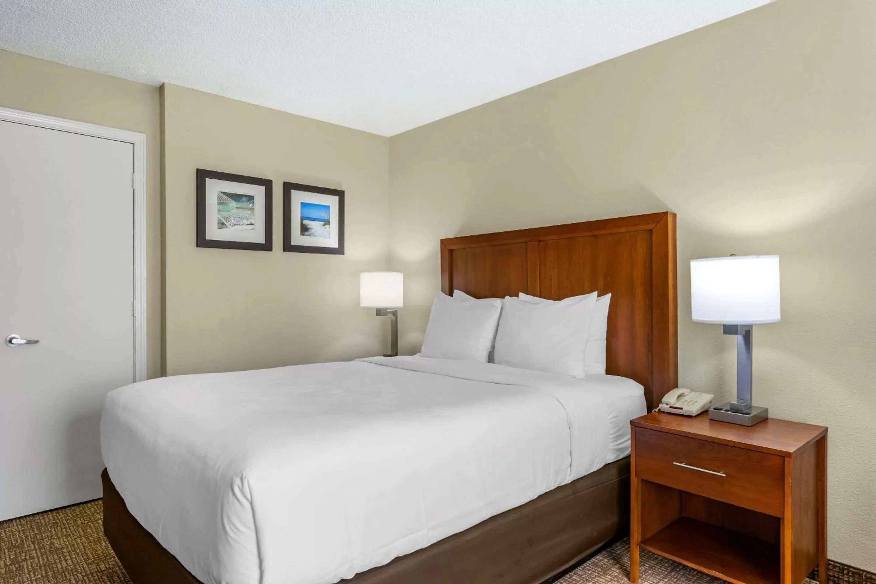 Photo of the whole room, Bed in Comfort Inn & Suites St Pete - Clearwater International Airport