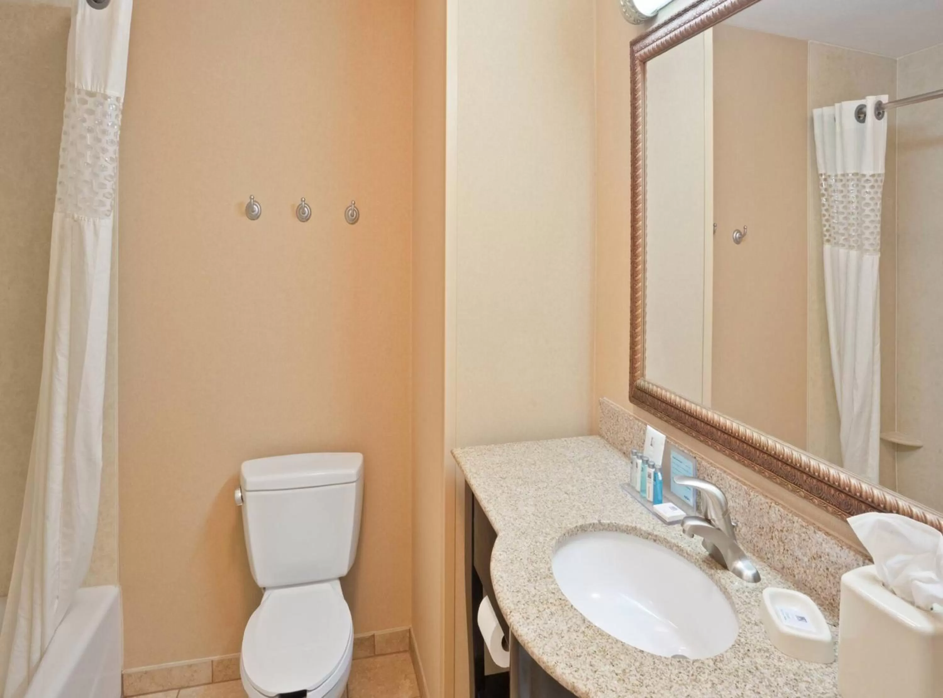 Bathroom in Hampton Inn Kingston