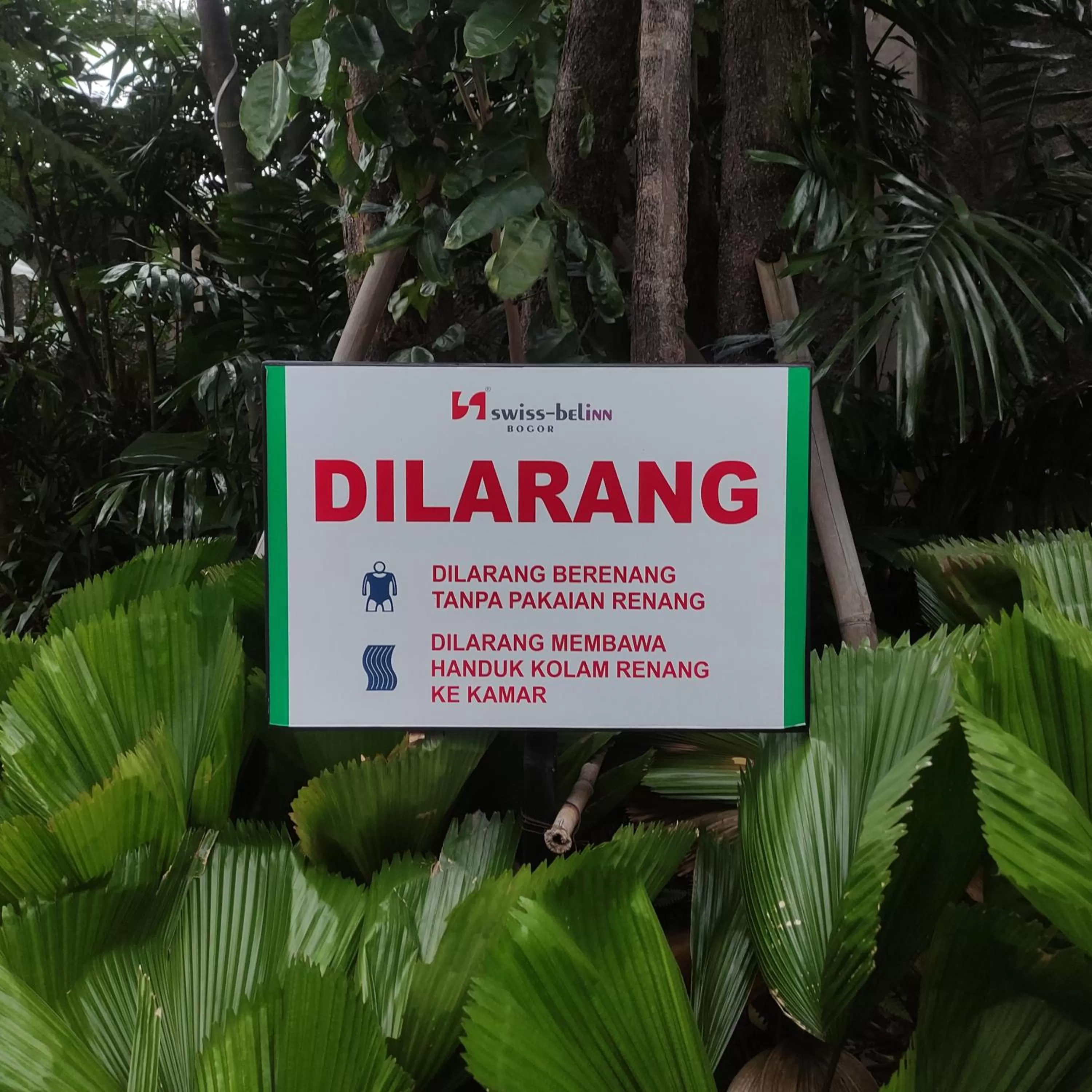 Swimming pool in Swiss-Belinn Bogor