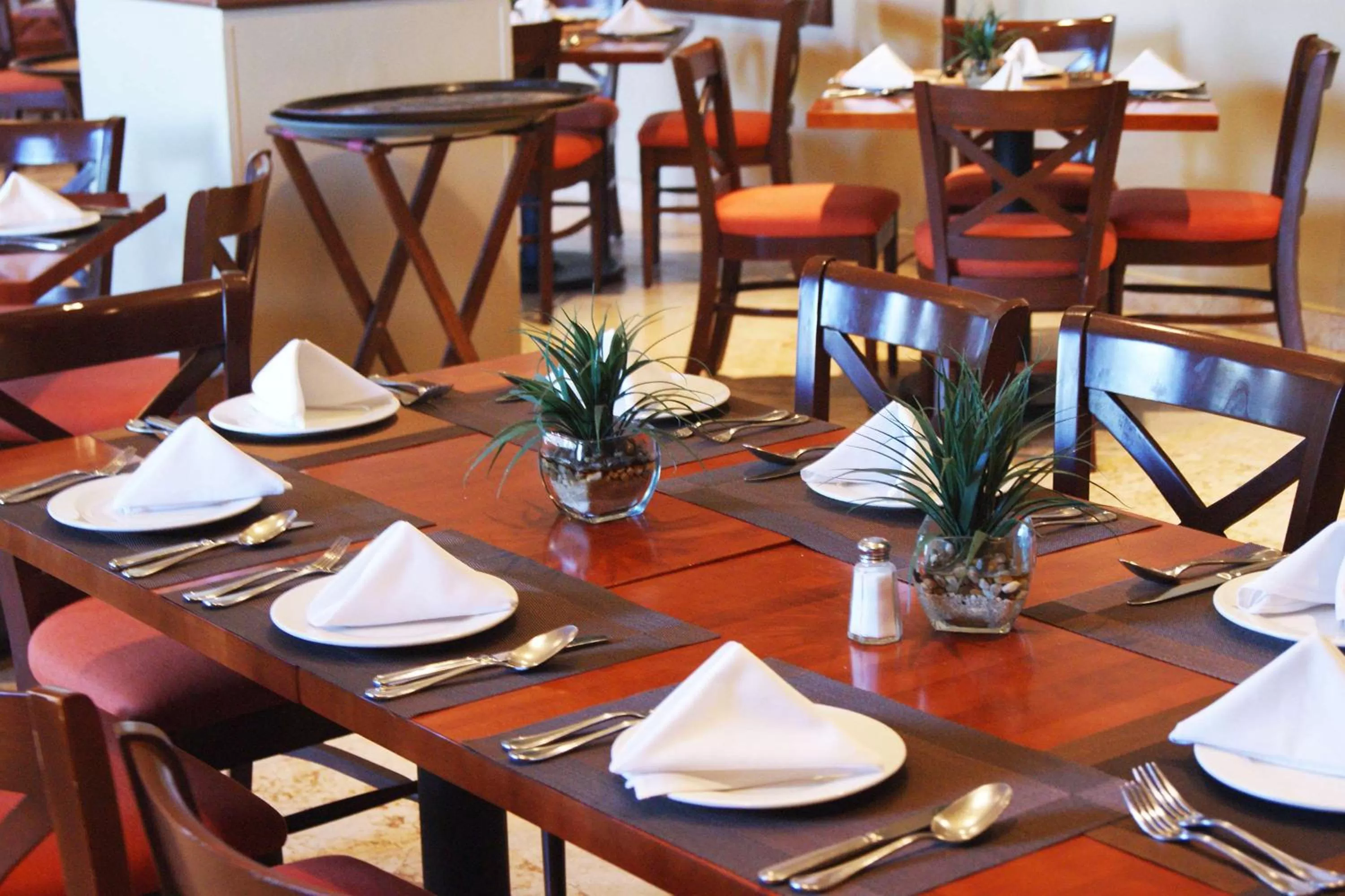 Restaurant/places to eat in Best Western PLUS Los Mochis