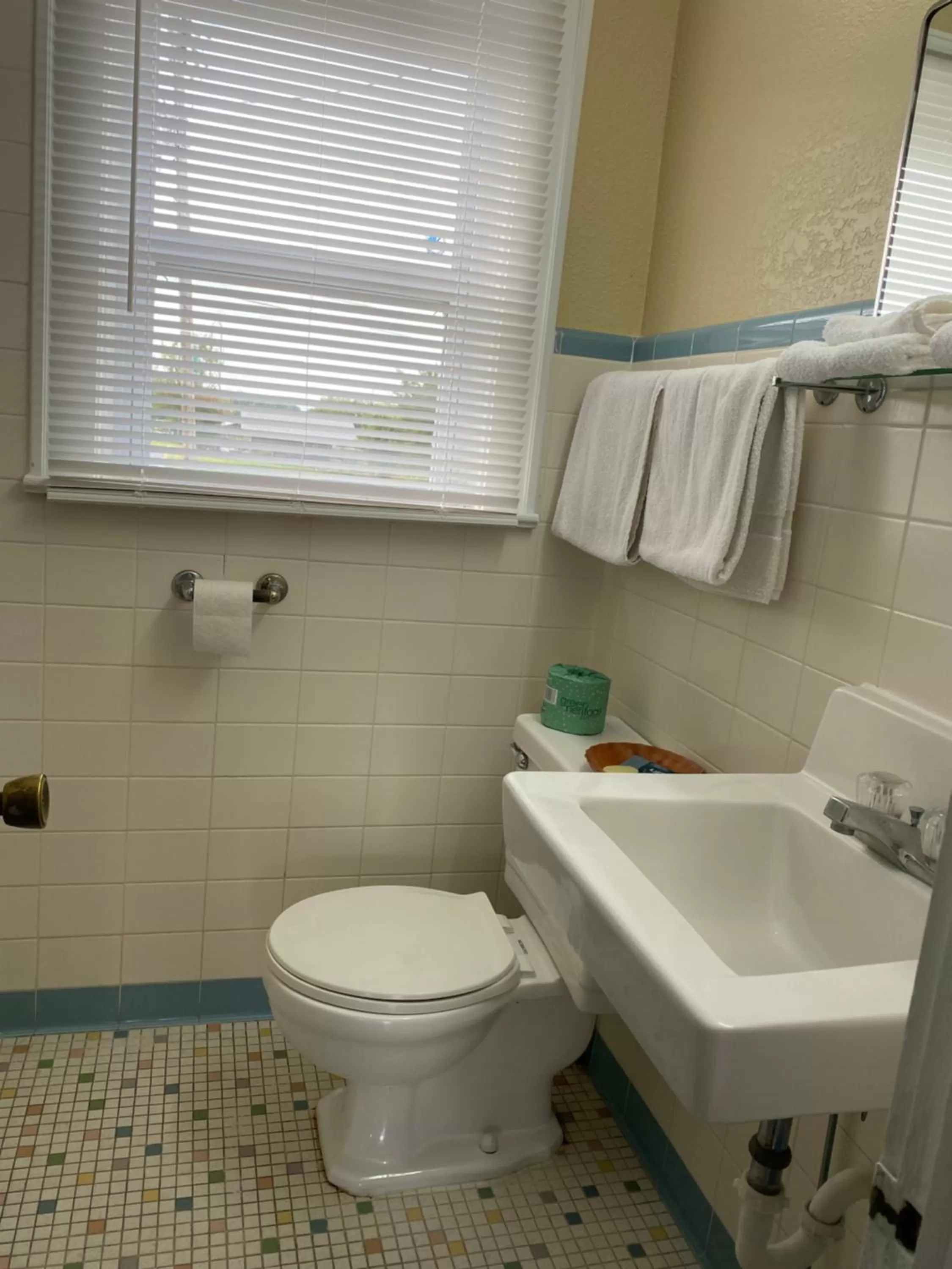 Bathroom in Savannah Motel