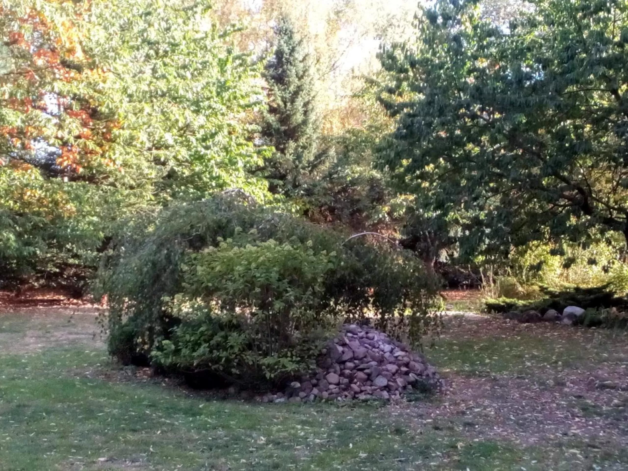 Hotel Leppiner Hof - B&B FRÜHSTÜCKSPENSION