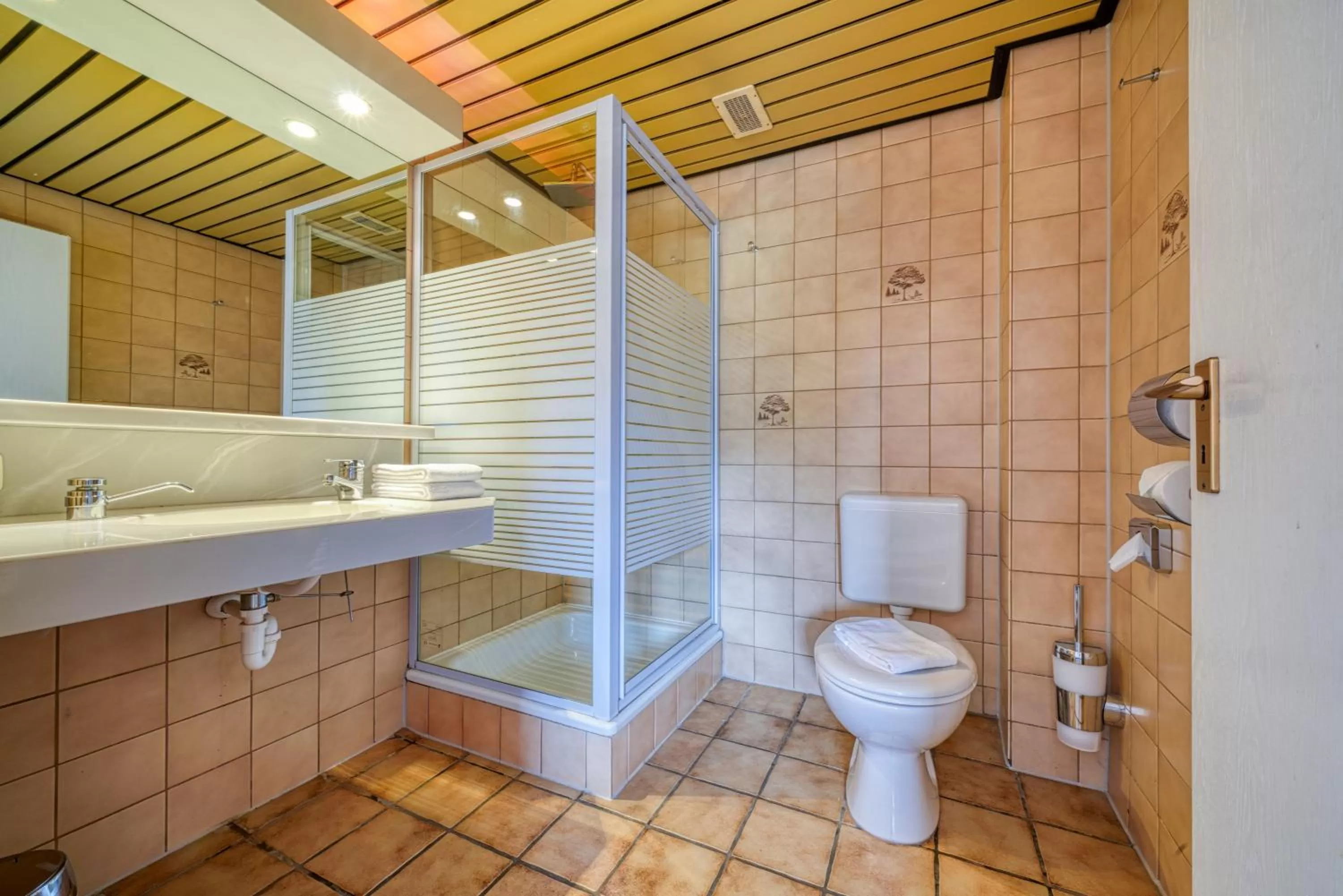 Bathroom in Hotel Seeblick Försterhaus